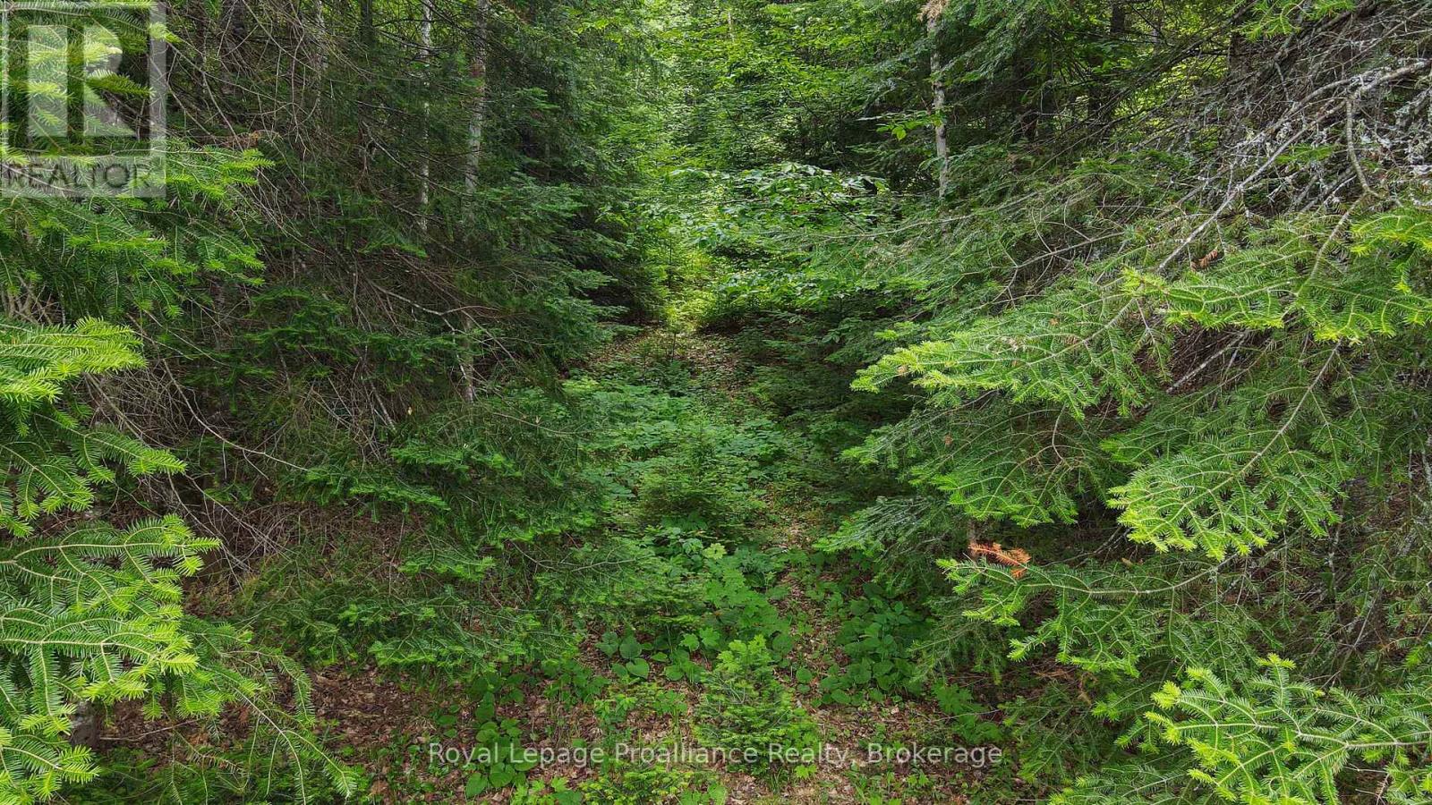 26643 Highway 60, South Algonquin, Ontario  K0J 2C0 - Photo 17 - X13500692