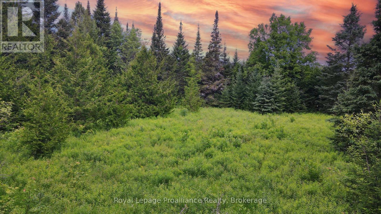 26643 Highway 60, South Algonquin, Ontario  K0J 2C0 - Photo 18 - X13500692