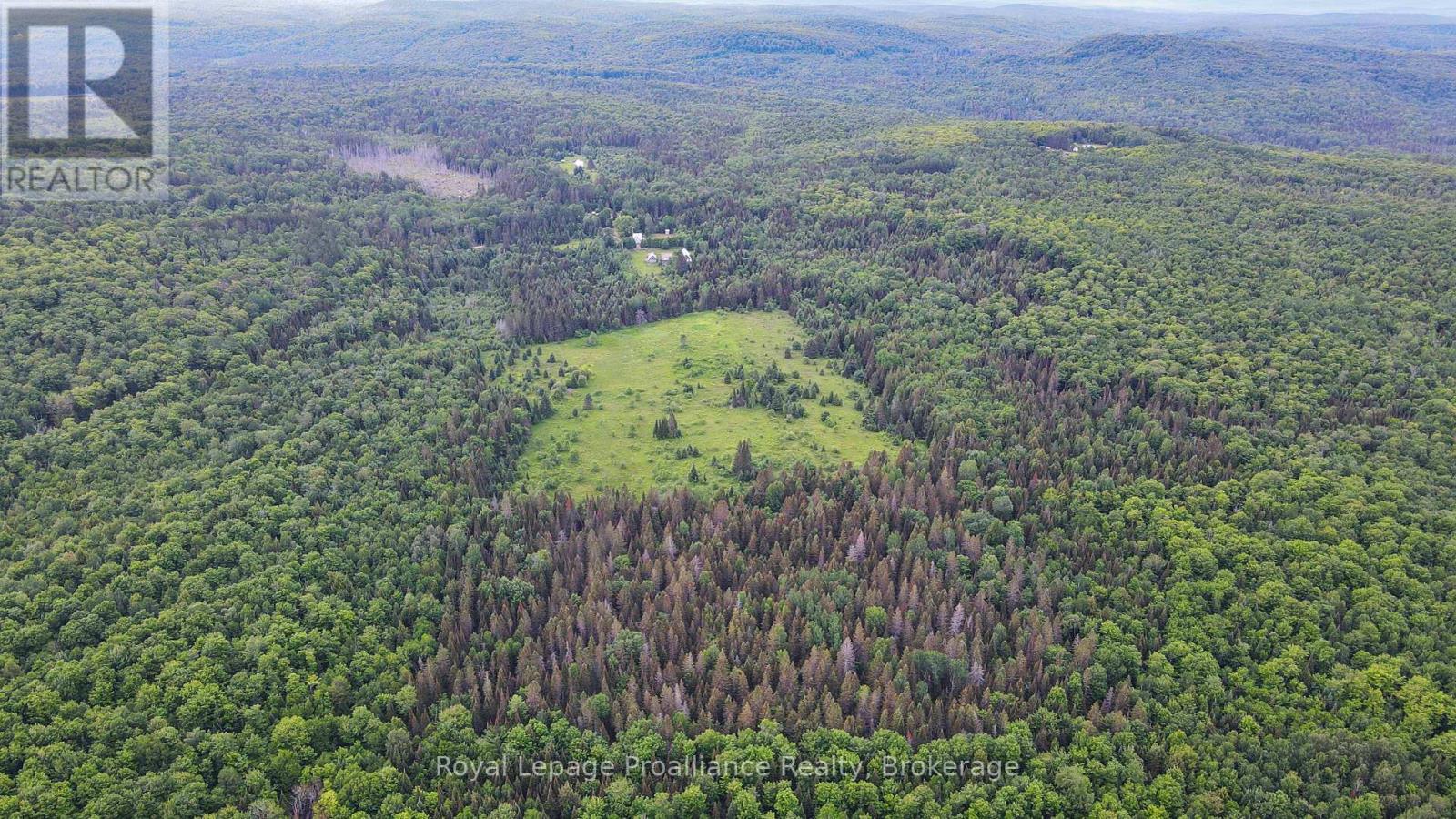 26643 Highway 60, South Algonquin, Ontario  K0J 2C0 - Photo 3 - X13500692