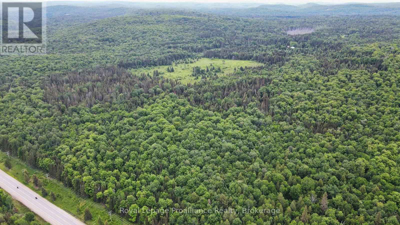 26643 Highway 60, South Algonquin, Ontario  K0J 2C0 - Photo 4 - X13500692