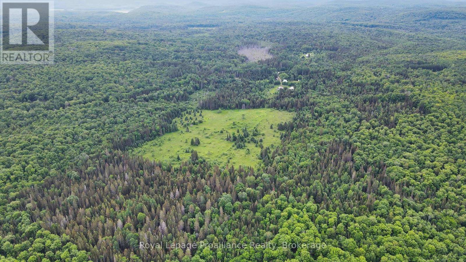 26643 Highway 60, South Algonquin, Ontario  K0J 2C0 - Photo 5 - X13500692