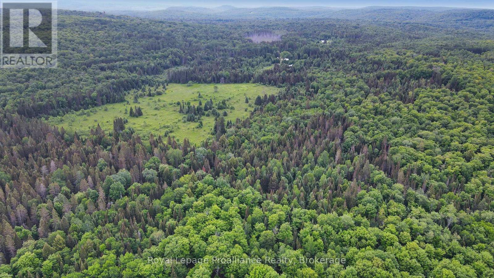 26643 Highway 60, South Algonquin, Ontario  K0J 2C0 - Photo 6 - X13500692