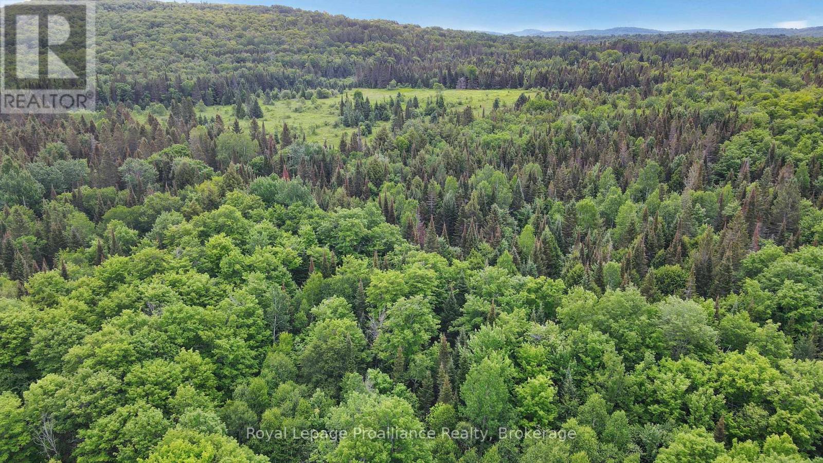 26643 Highway 60, South Algonquin, Ontario  K0J 2C0 - Photo 7 - X13500692