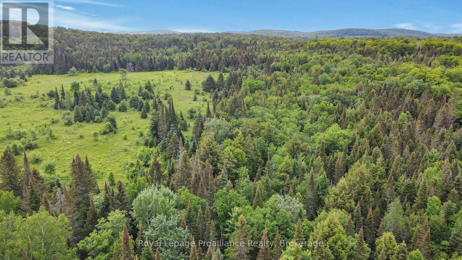 26643 Highway 60, South Algonquin, Ontario  K0J 2C0 - Photo 9 - X13500692