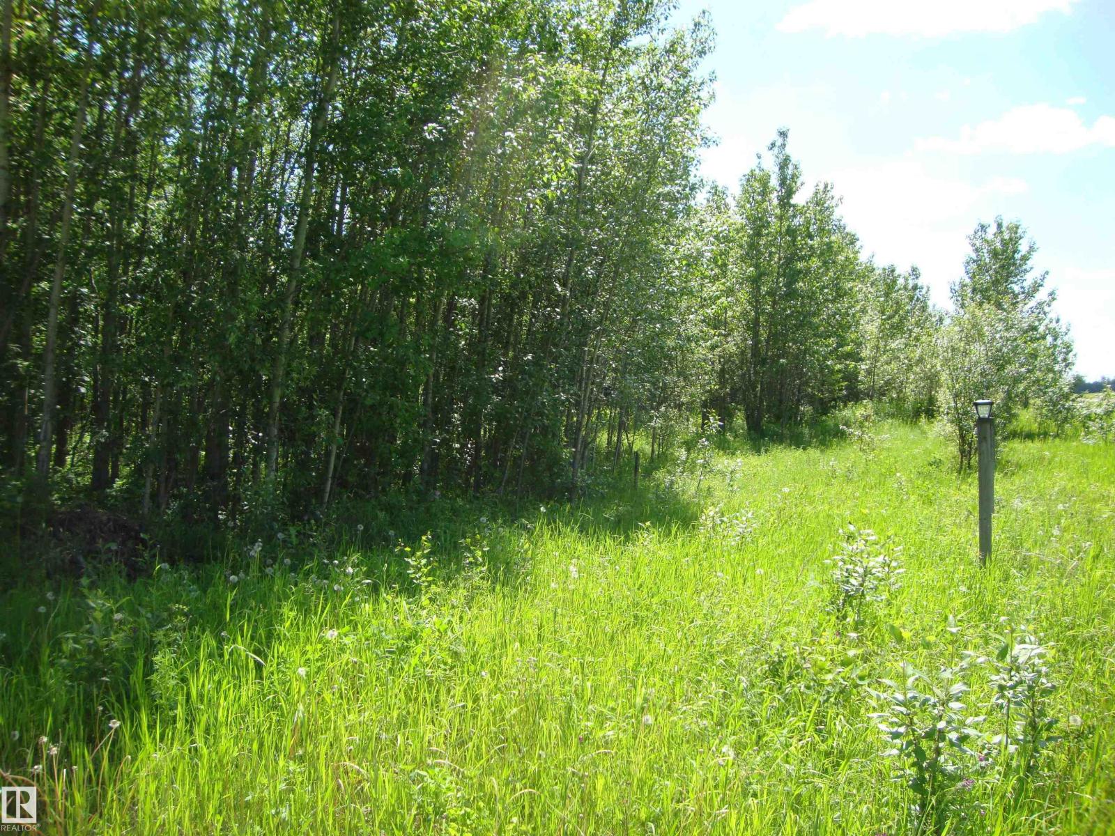 60321 Rr231, Rural Thorhild County, Alberta  T0A 3J0 - Photo 3 - E4496217