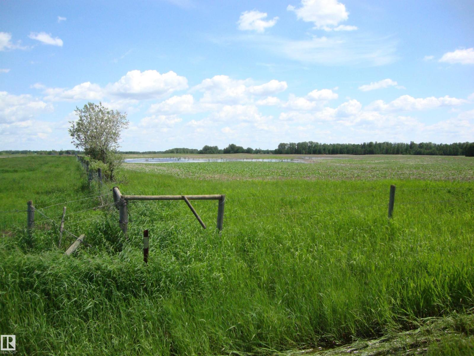 60321 Rr231, Rural Thorhild County, Alberta  T0A 3J0 - Photo 16 - E4496217