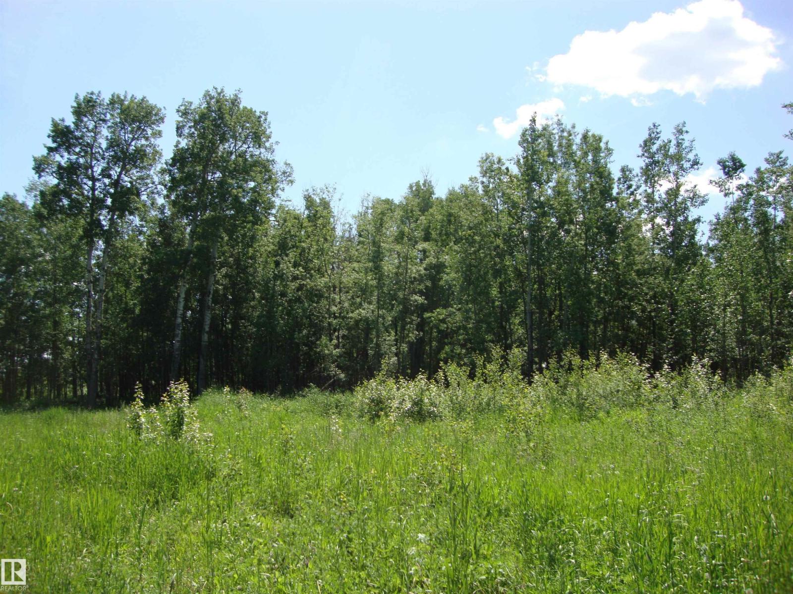 60321 Rr231, Rural Thorhild County, Alberta  T0A 3J0 - Photo 9 - E4496217