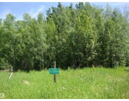60321 Rr231, Rural Thorhild County, Alberta T0A 3J0 (29965569)