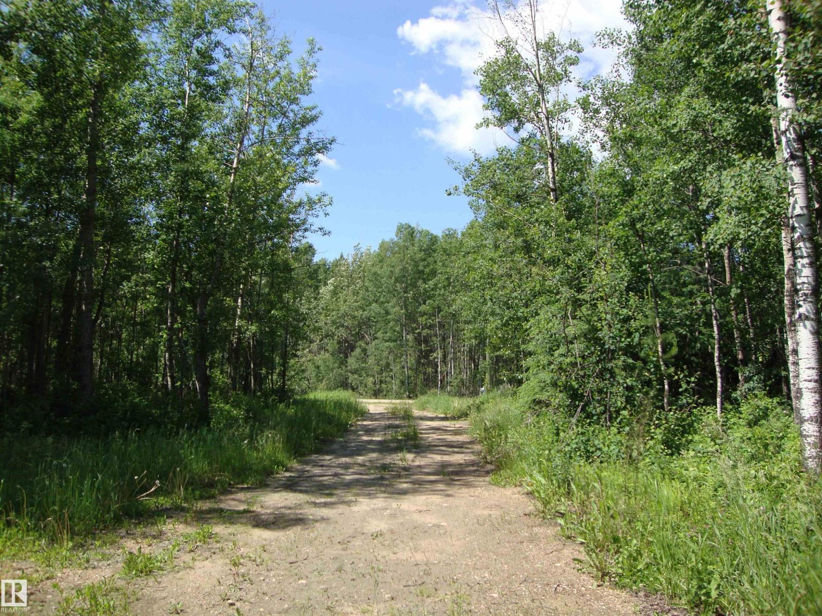 60321 Rr231, Rural Thorhild County, Alberta  T0A 3J0 - Photo 4 - E4496217