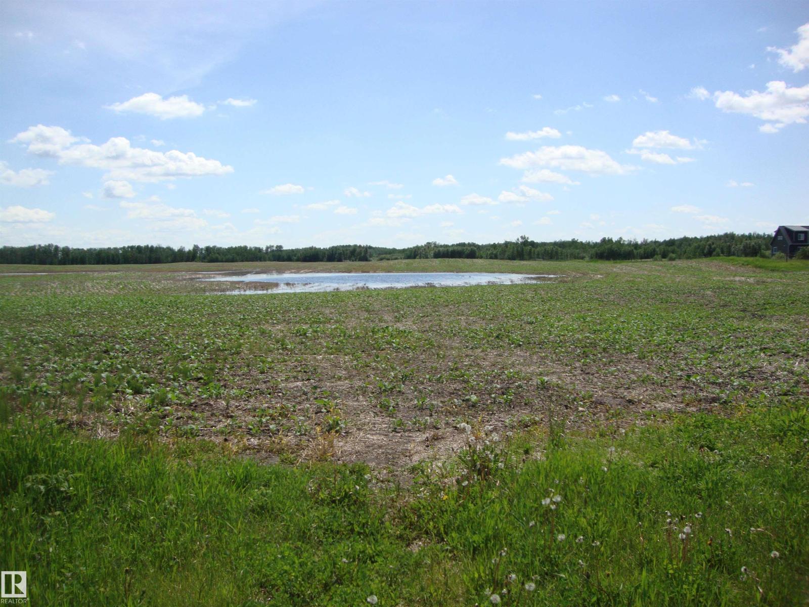 60321 Rr231, Rural Thorhild County, Alberta  T0A 3J0 - Photo 21 - E4496217
