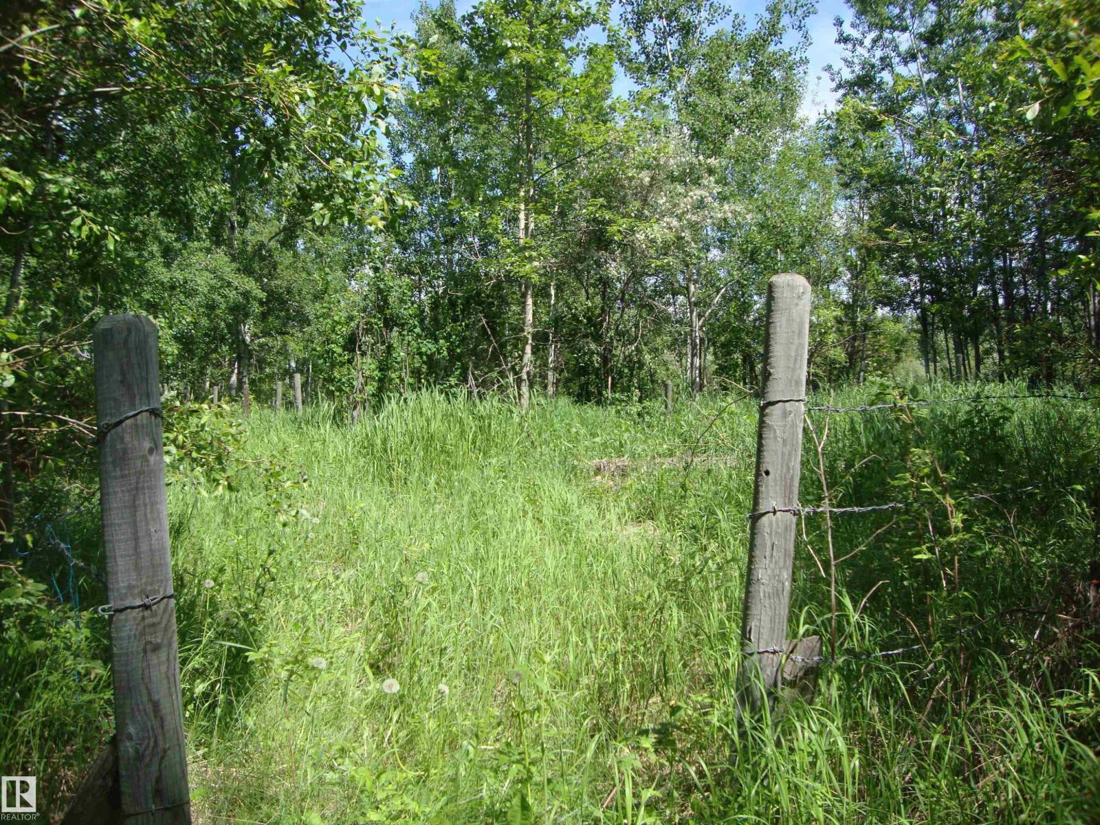60321 Rr231, Rural Thorhild County, Alberta  T0A 3J0 - Photo 12 - E4496217