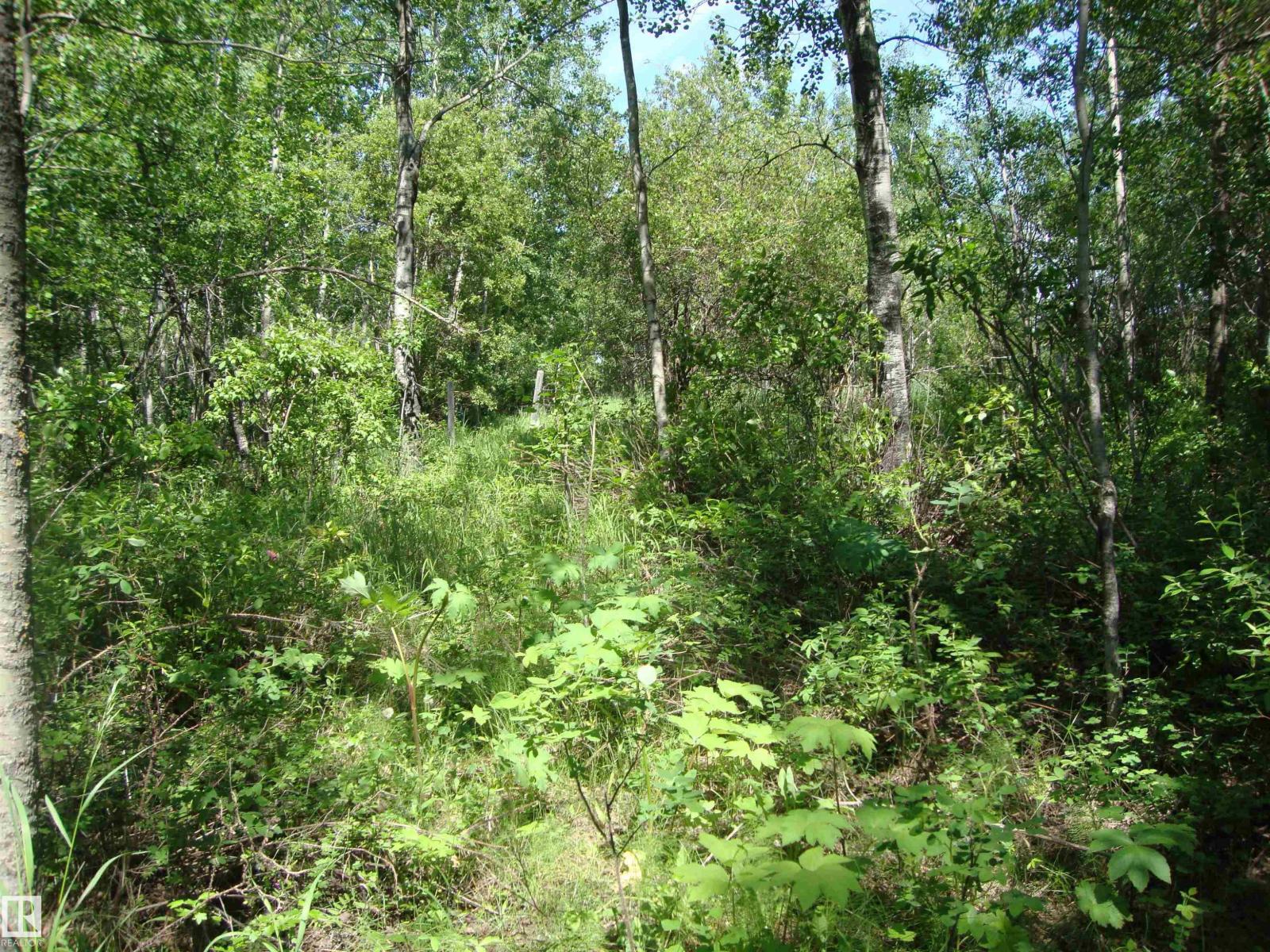 60321 Rr231, Rural Thorhild County, Alberta  T0A 3J0 - Photo 10 - E4496217