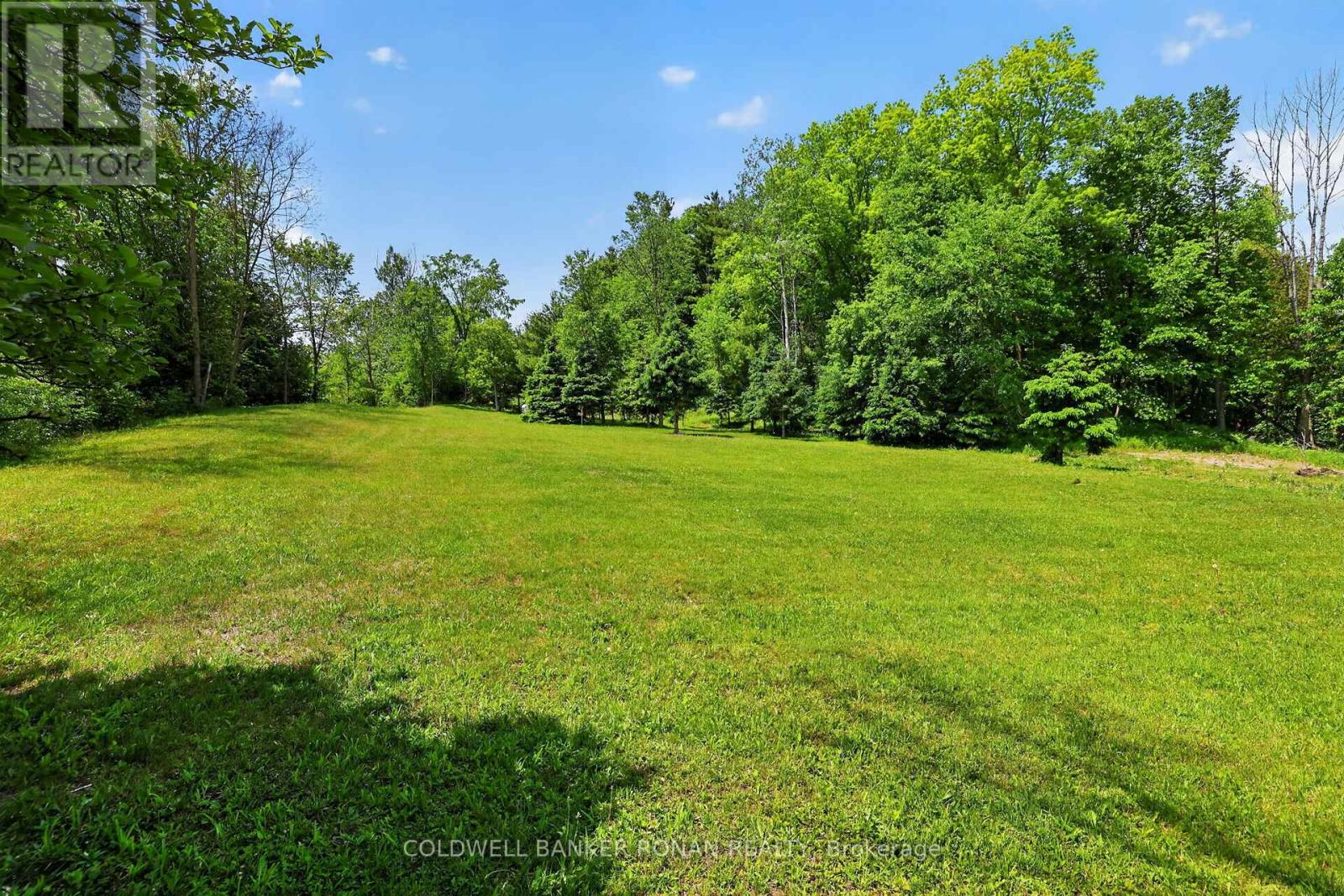 2946 Concession Rd 3, Adjala-Tosorontio, Ontario  L0G 1L0 - Photo 35 - N13419510