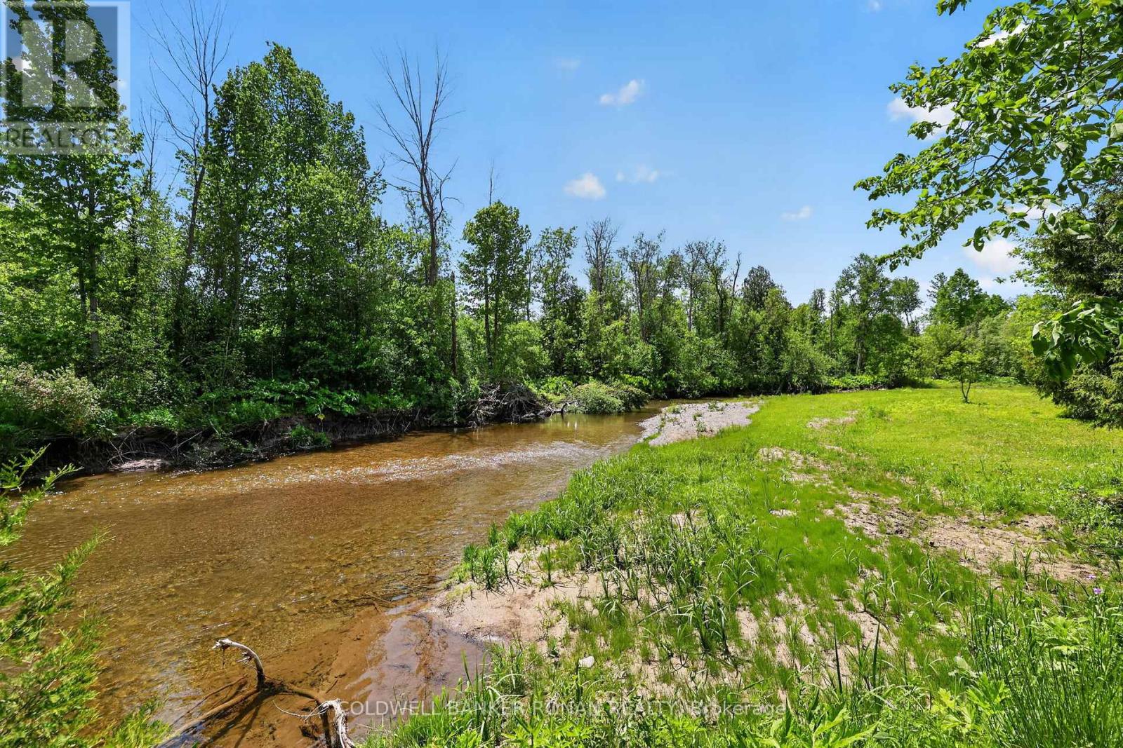 2946 Concession Rd 3, Adjala-Tosorontio, Ontario  L0G 1L0 - Photo 39 - N13419510