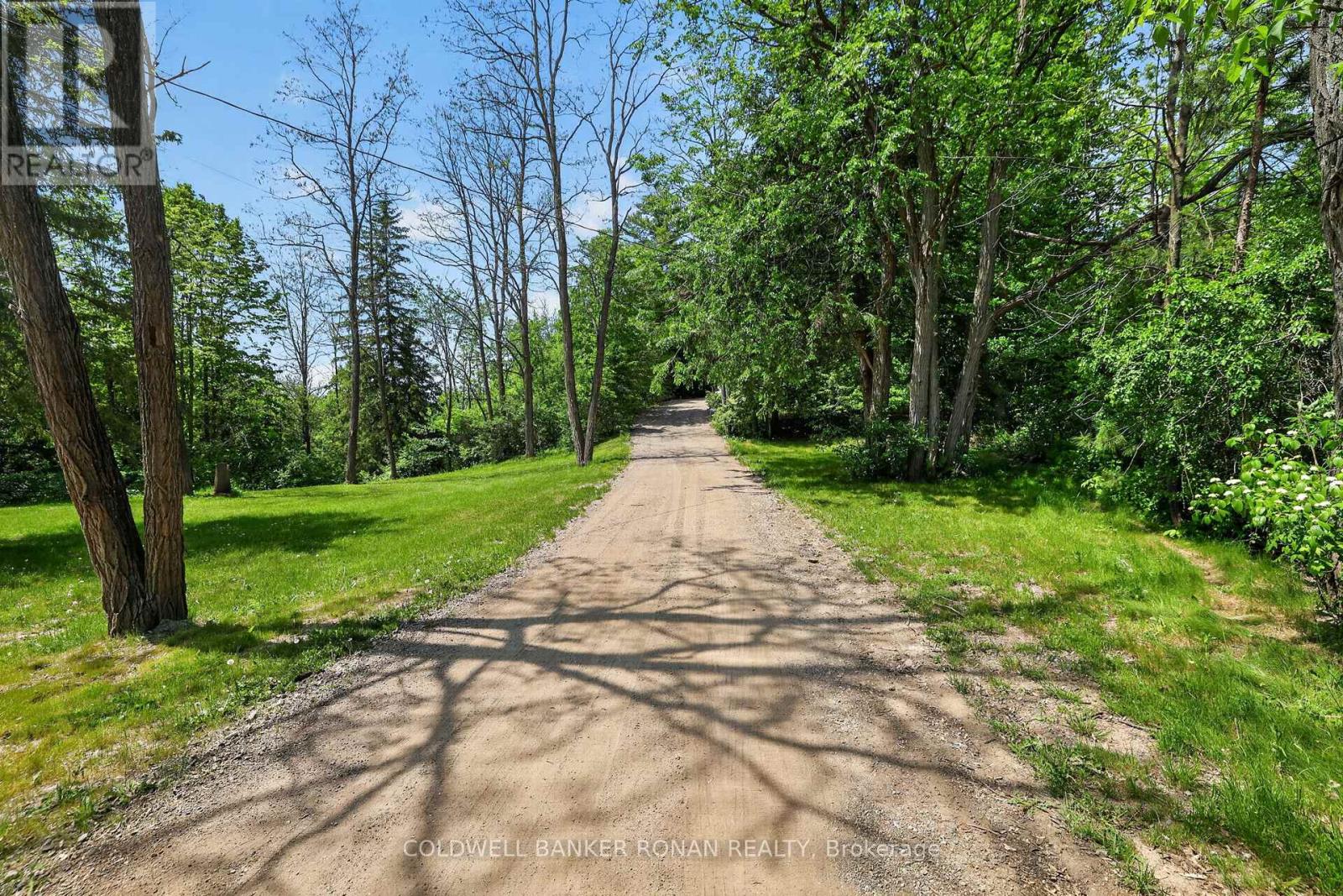 2946 Concession Rd 3, Adjala-Tosorontio, Ontario  L0G 1L0 - Photo 44 - N13419510
