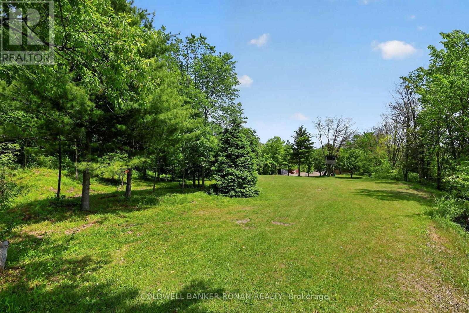 2946 Concession Rd 3, Adjala-Tosorontio, Ontario  L0G 1L0 - Photo 36 - N13419510