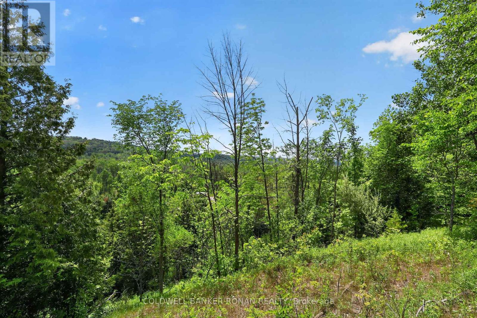 2946 Concession Rd 3, Adjala-Tosorontio, Ontario  L0G 1L0 - Photo 38 - N13419510