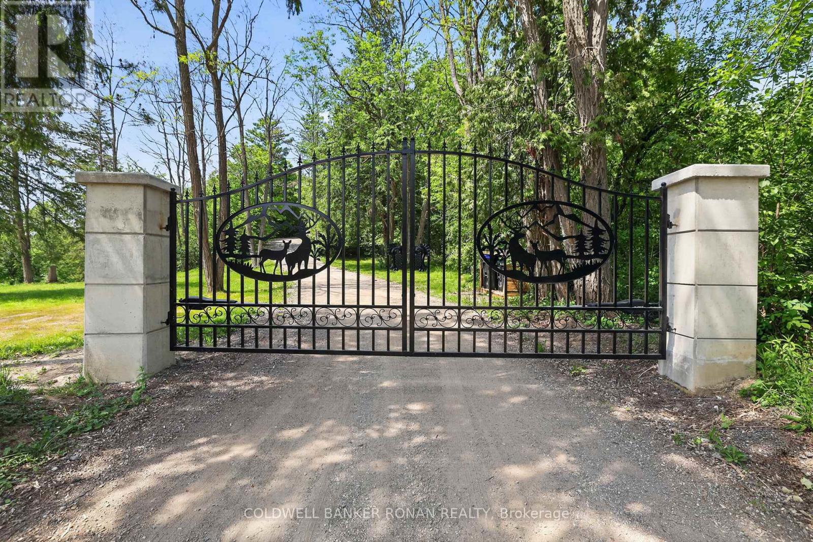 2946 Concession Rd 3, Adjala-Tosorontio, Ontario  L0G 1L0 - Photo 45 - N13419510