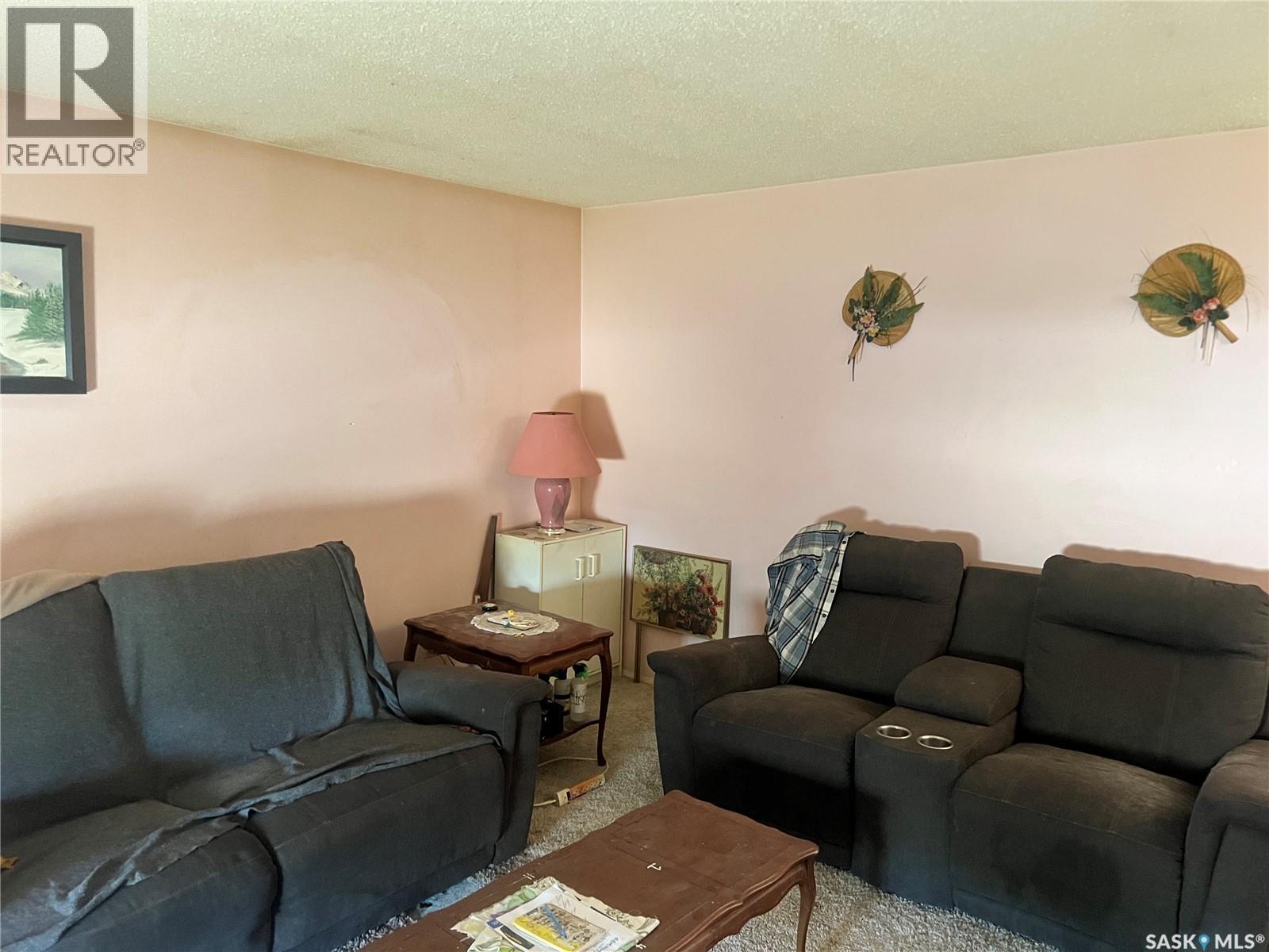 561 Ford Street, Bethune, Saskatchewan  S0G 0H0 - Photo 4 - SK040962