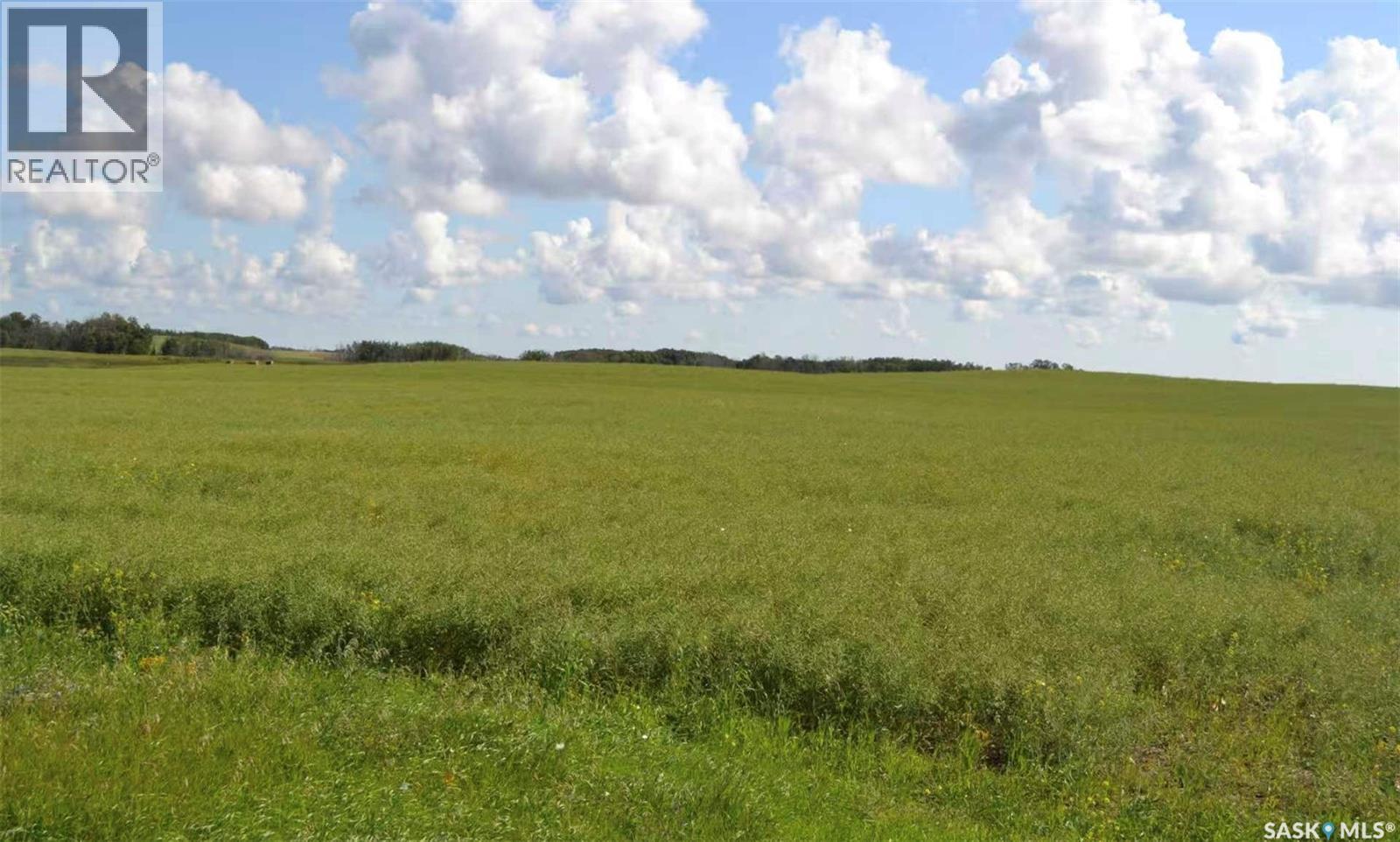 Ituna 5 Quarter Farm, Ituna Bon Accord Rm No. 246, Saskatchewan