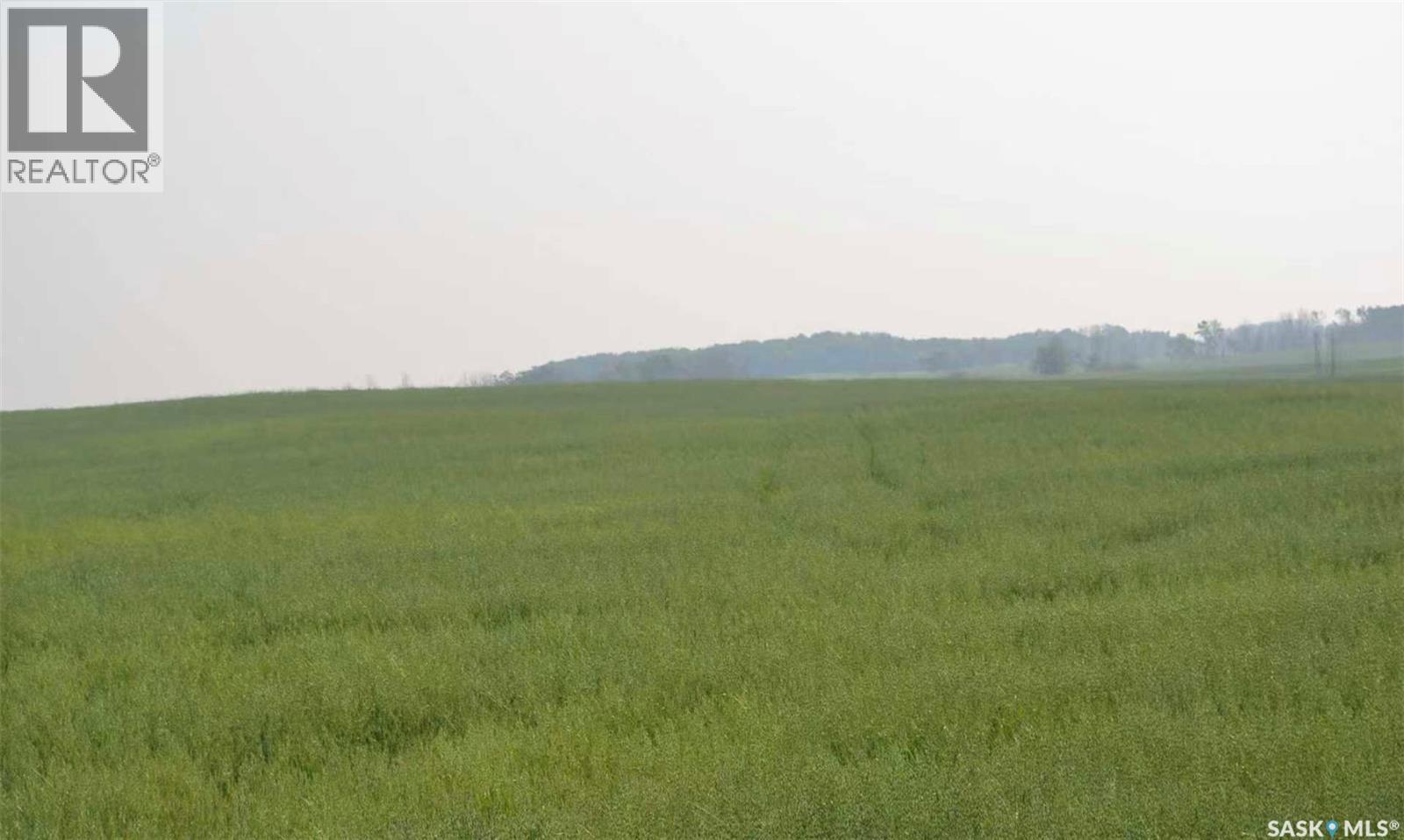Ituna 5 Quarter Farm, Ituna Bon Accord Rm No. 246, Saskatchewan  S0A 1A0 - Photo 10 - SK040662