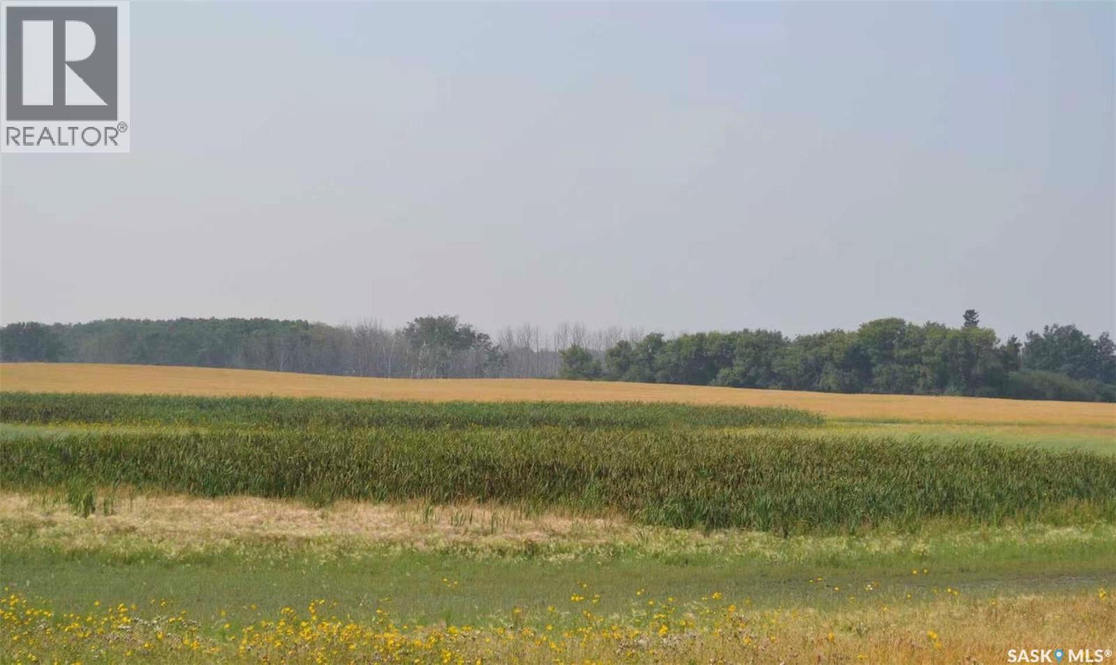 Ituna 5 Quarter Farm, Ituna Bon Accord Rm No. 246, Saskatchewan  S0A 1A0 - Photo 14 - SK040662