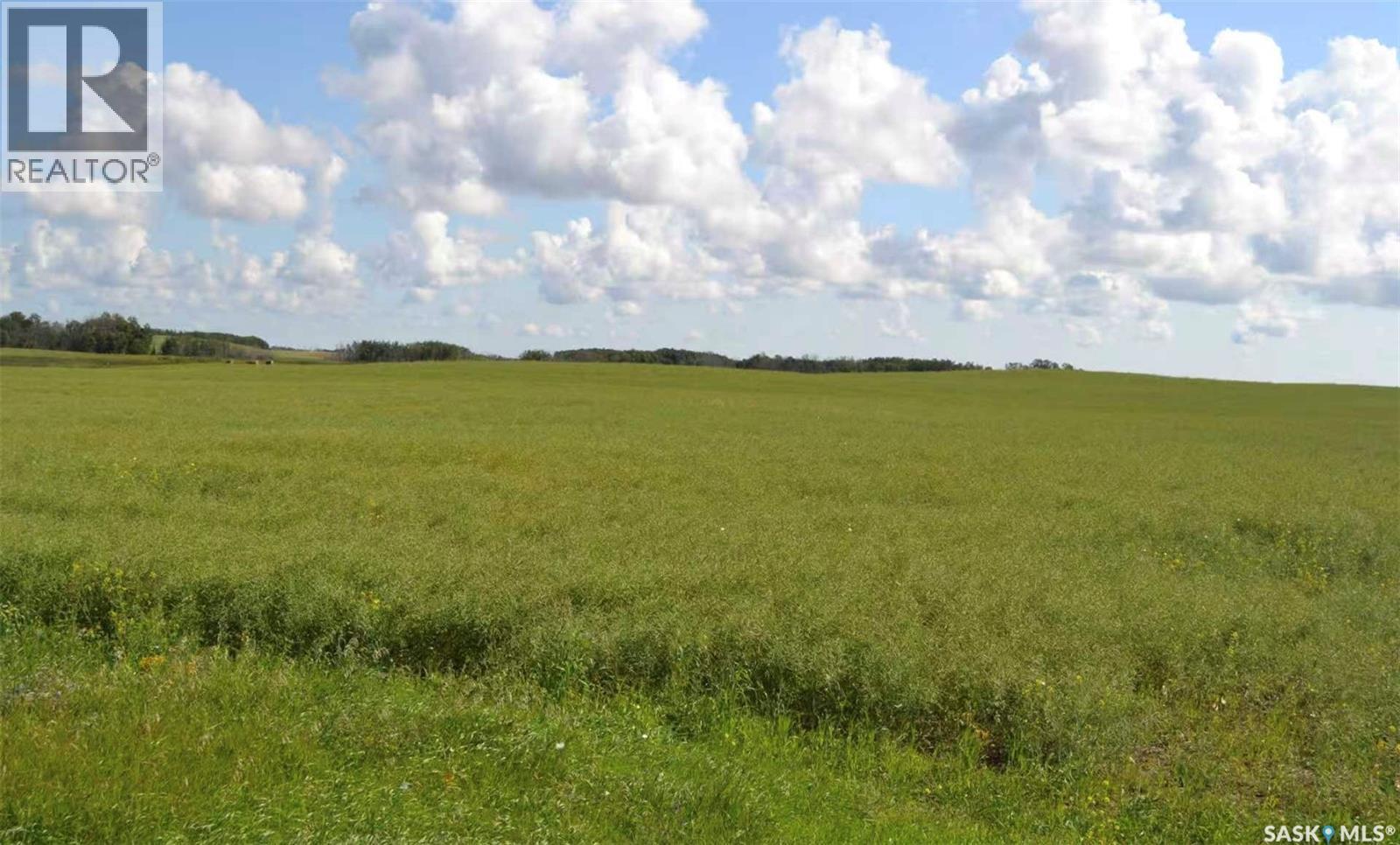 Ituna 5 Quarter Farm, Ituna Bon Accord Rm No. 246, Saskatchewan  S0A 1A0 - Photo 2 - SK040662