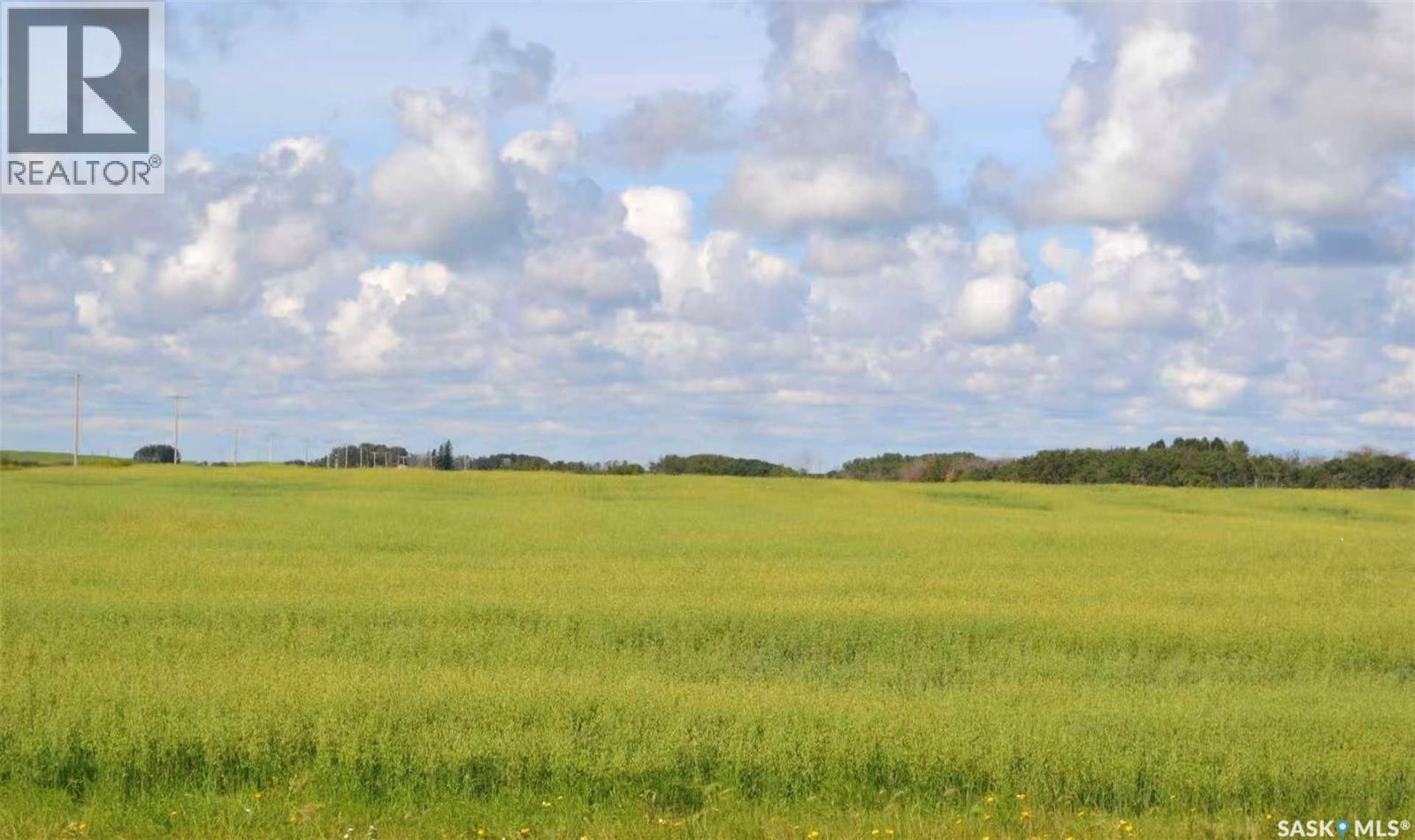 Ituna 5 Quarter Farm, Ituna Bon Accord Rm No. 246, Saskatchewan  S0A 1A0 - Photo 3 - SK040662