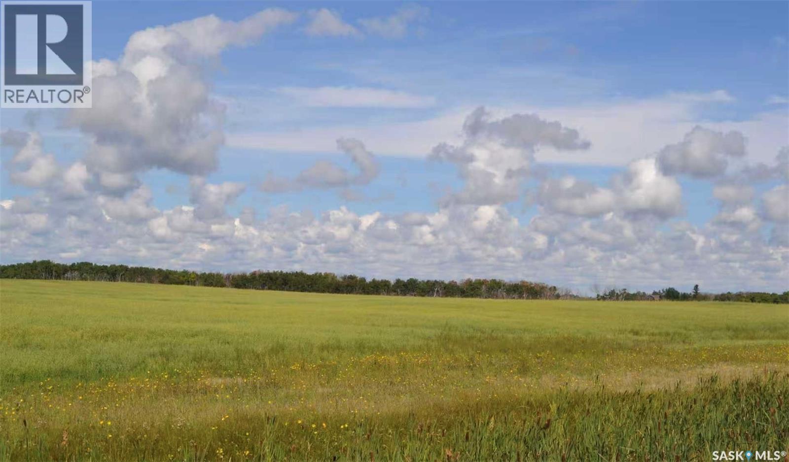 Ituna 5 Quarter Farm, Ituna Bon Accord Rm No. 246, Saskatchewan  S0A 1A0 - Photo 4 - SK040662