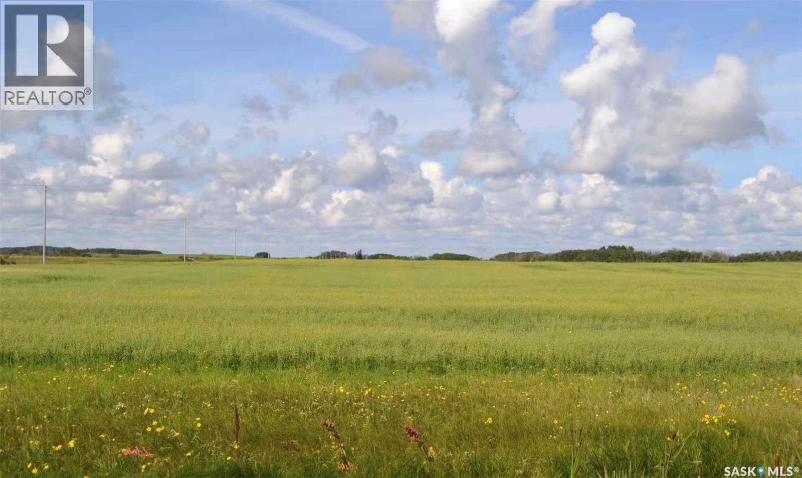 Ituna 5 Quarter Farm, Ituna Bon Accord Rm No. 246, Saskatchewan  S0A 1A0 - Photo 5 - SK040662