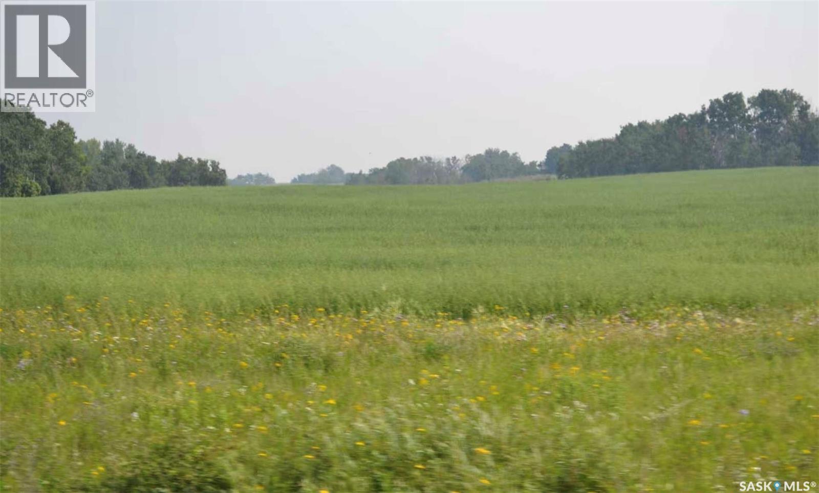 Ituna 5 Quarter Farm, Ituna Bon Accord Rm No. 246, Saskatchewan  S0A 1A0 - Photo 7 - SK040662