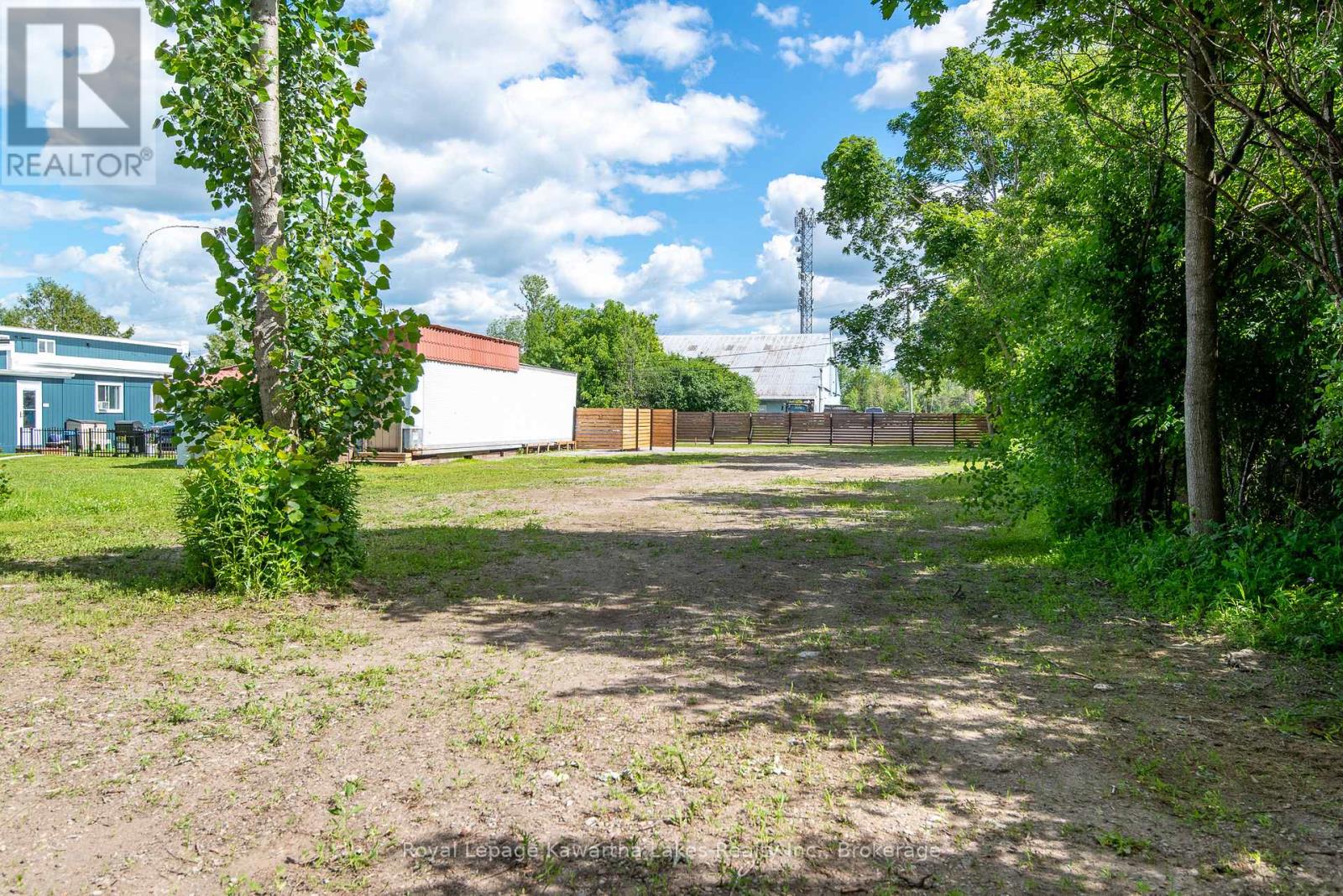 60 George Street W, Kawartha Lakes, Ontario  K9V 5H9 - Photo 4 - X13501342