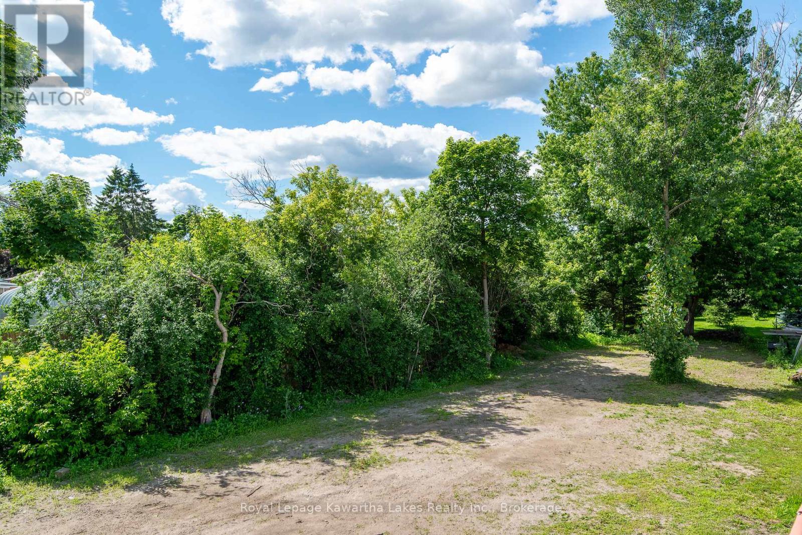 60 George Street W, Kawartha Lakes, Ontario  K9V 5H9 - Photo 5 - X13501342