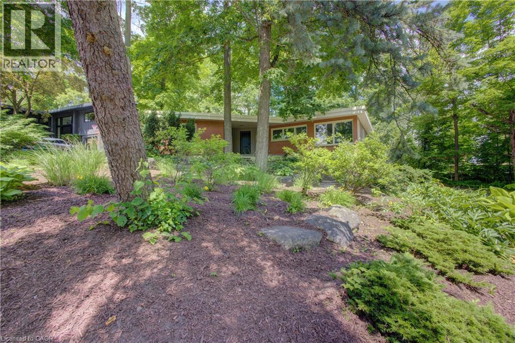 294 Algonquin Drive, Waterloo, Ontario  N2L 2S8 - Photo 4 - 40836179