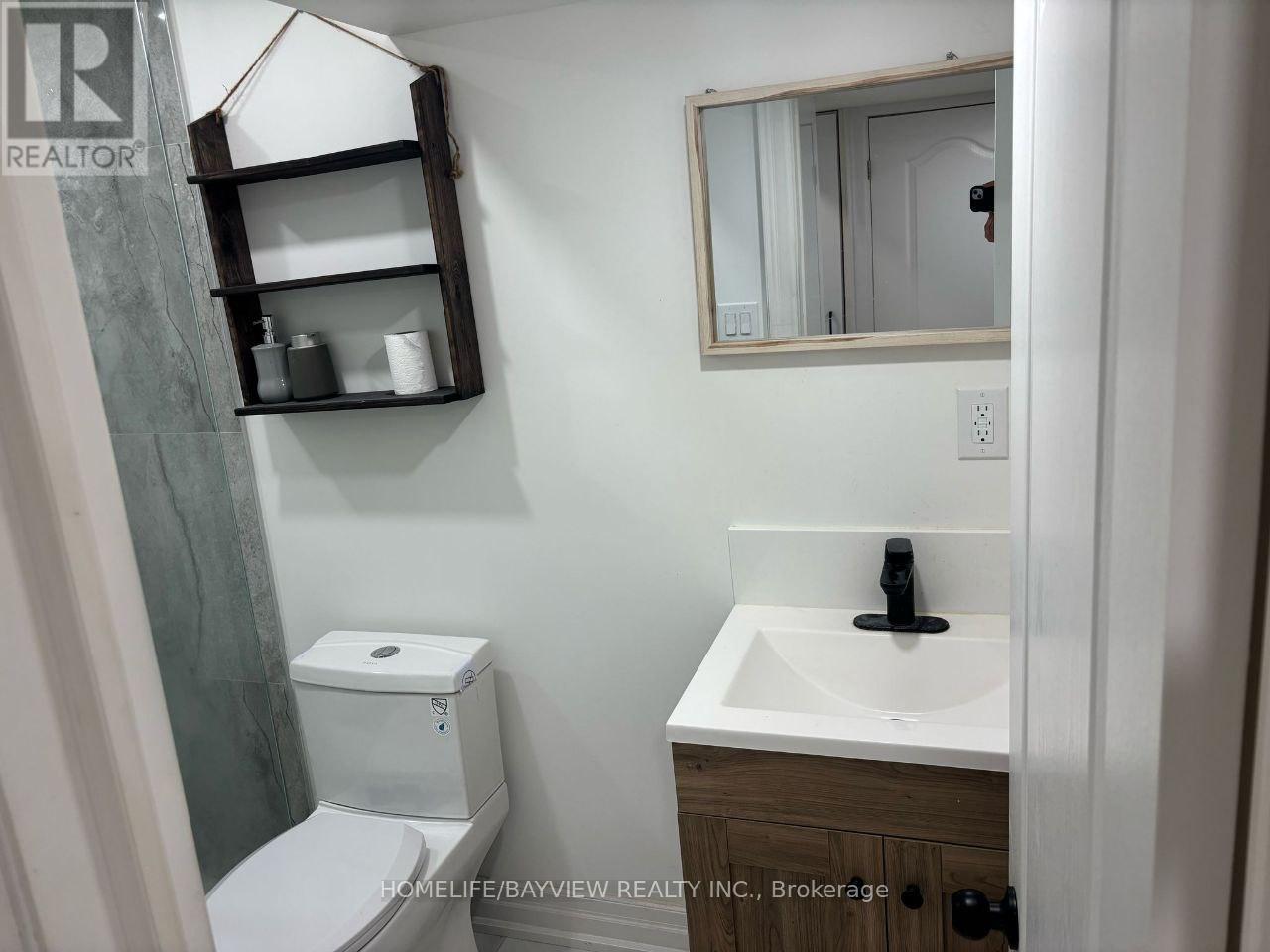 Basement - 110 Woodpark Place, Newmarket, Ontario  L3Y 3P6 - Photo 10 - N13501340