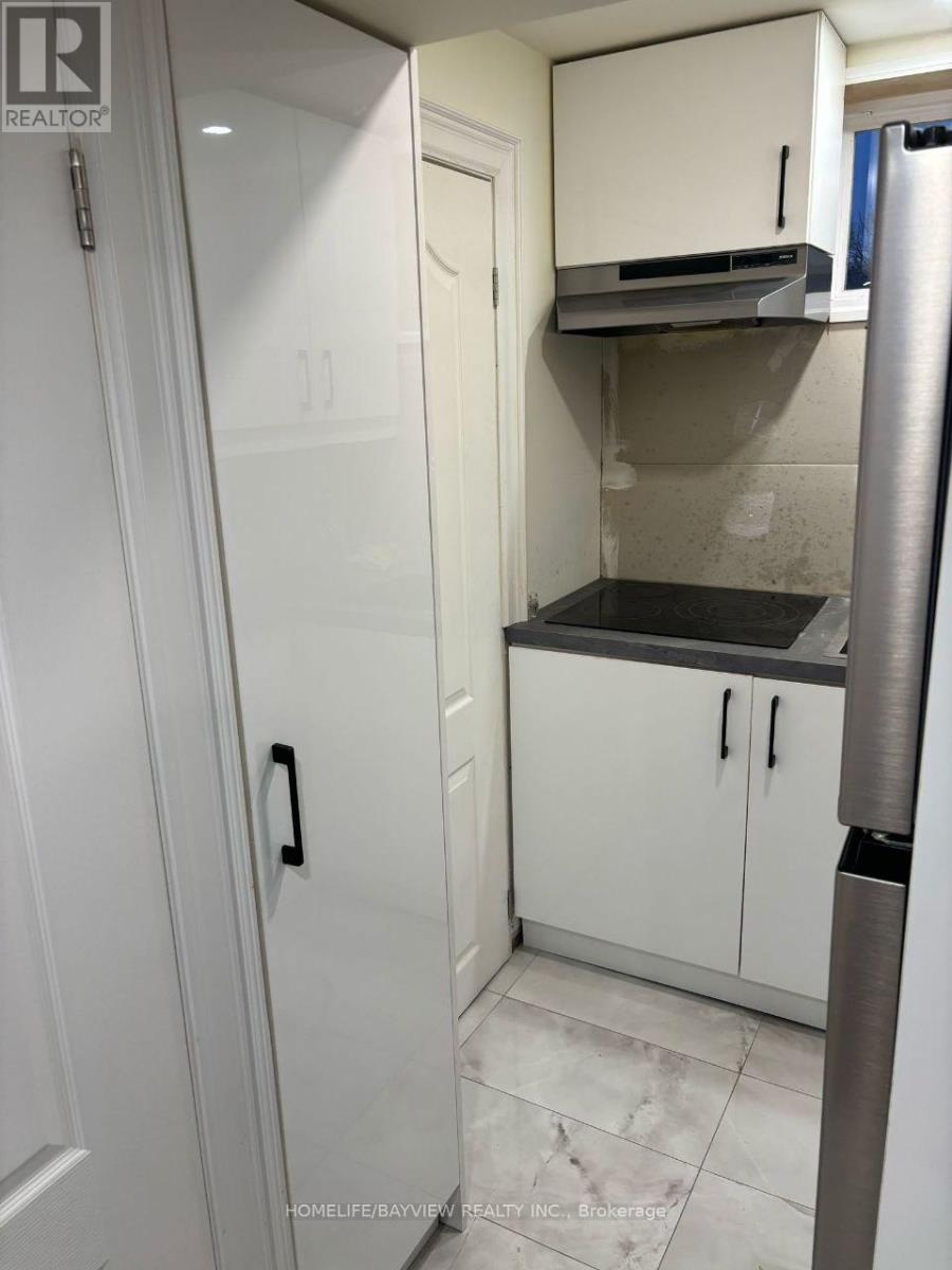 Basement - 110 Woodpark Place, Newmarket, Ontario  L3Y 3P6 - Photo 8 - N13501340