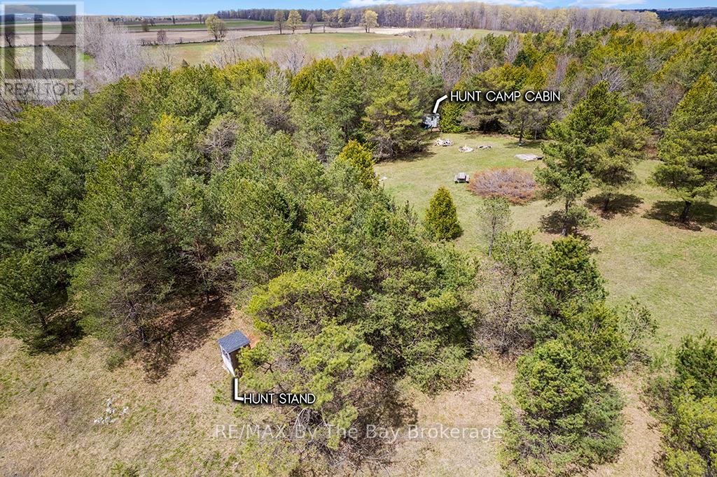 353814 Osprey Artemesia Townline, Grey Highlands, Ontario  N0C 1J0 - Photo 12 - X13237674