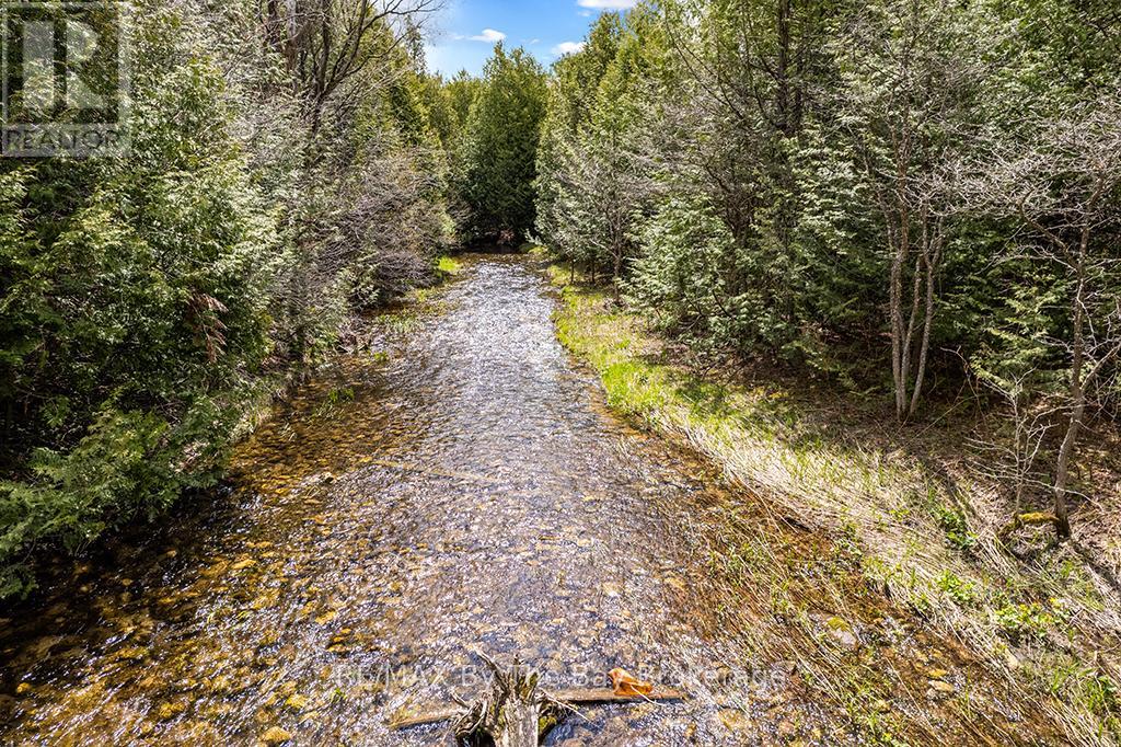353814 Osprey Artemesia Townline, Grey Highlands, Ontario  N0C 1J0 - Photo 6 - X13237674