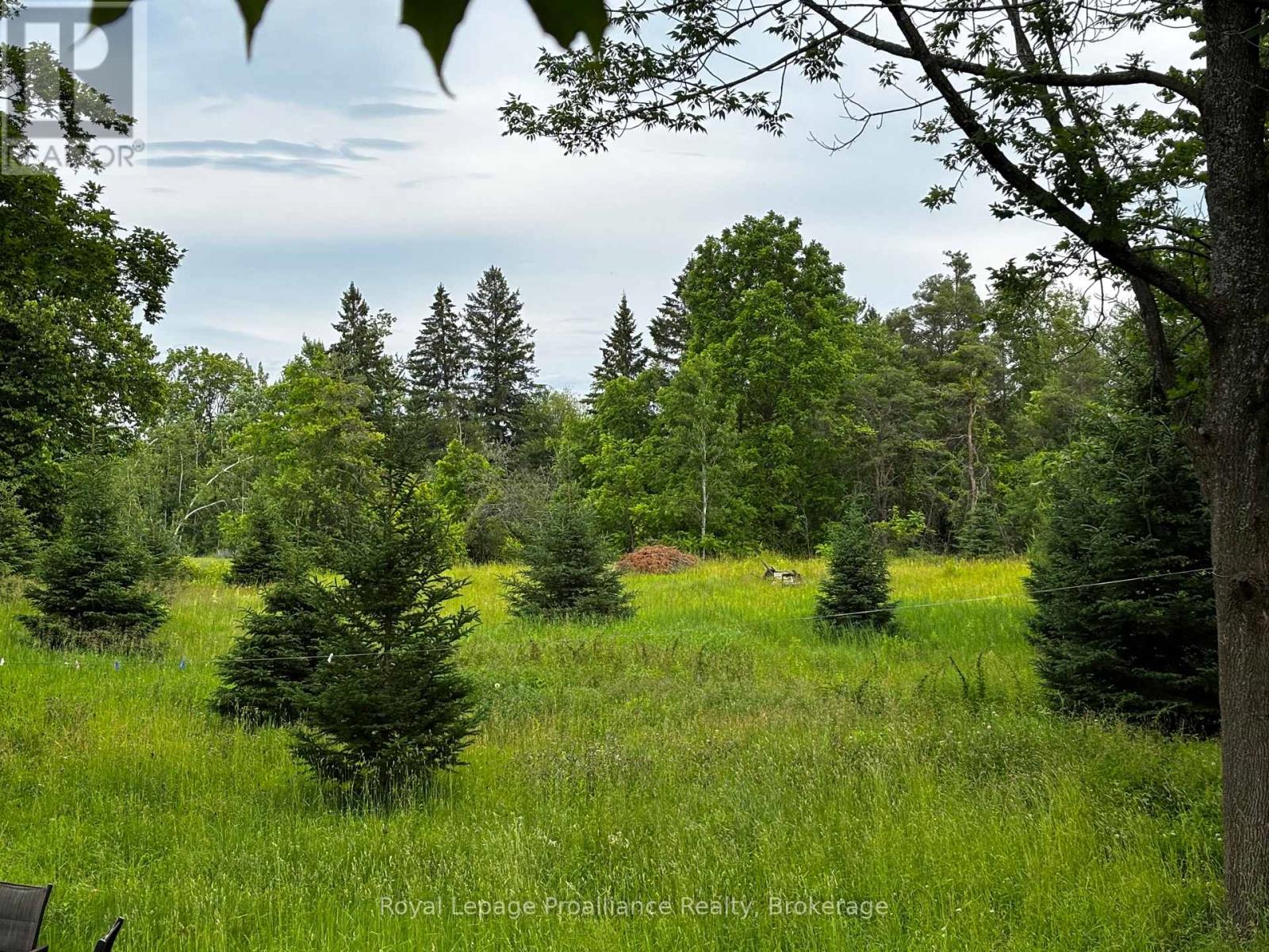 2683 Maplegrove Road, Cavan Monaghan, Ontario  K9J 6X4 - Photo 18 - X13499898