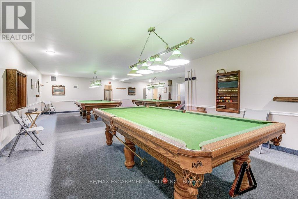 203 - 500 Silverbirch Boulevard, Hamilton, Ontario  L0R 1W0 - Photo 48 - X13501486