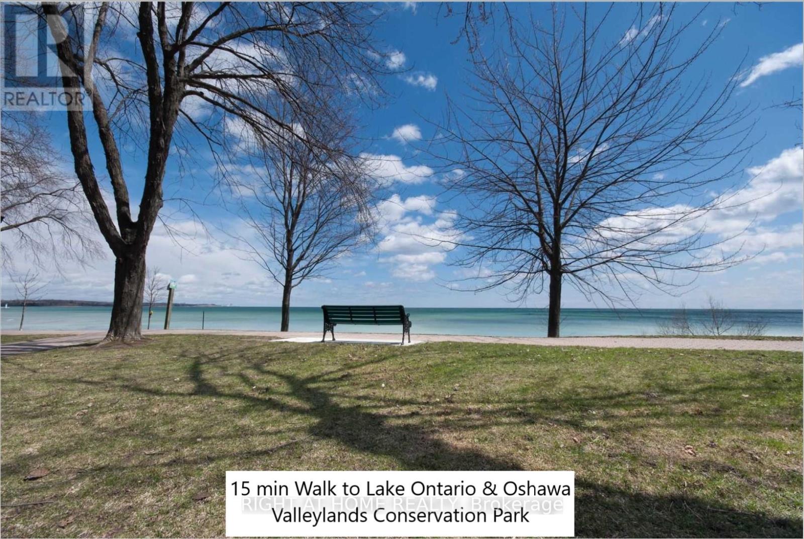 Lower - 297 Geneva Avenue, Oshawa, Ontario  L1J 1L9 - Photo 13 - E13497040