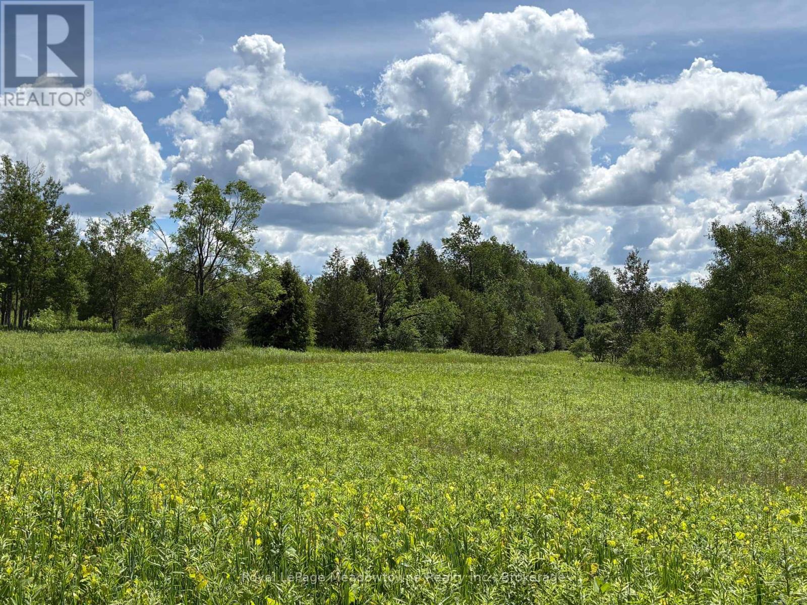 9161 Erin-Garafraxa Townline, Erin, Ontario  L0N 1N0 - Photo 2 - X12900512