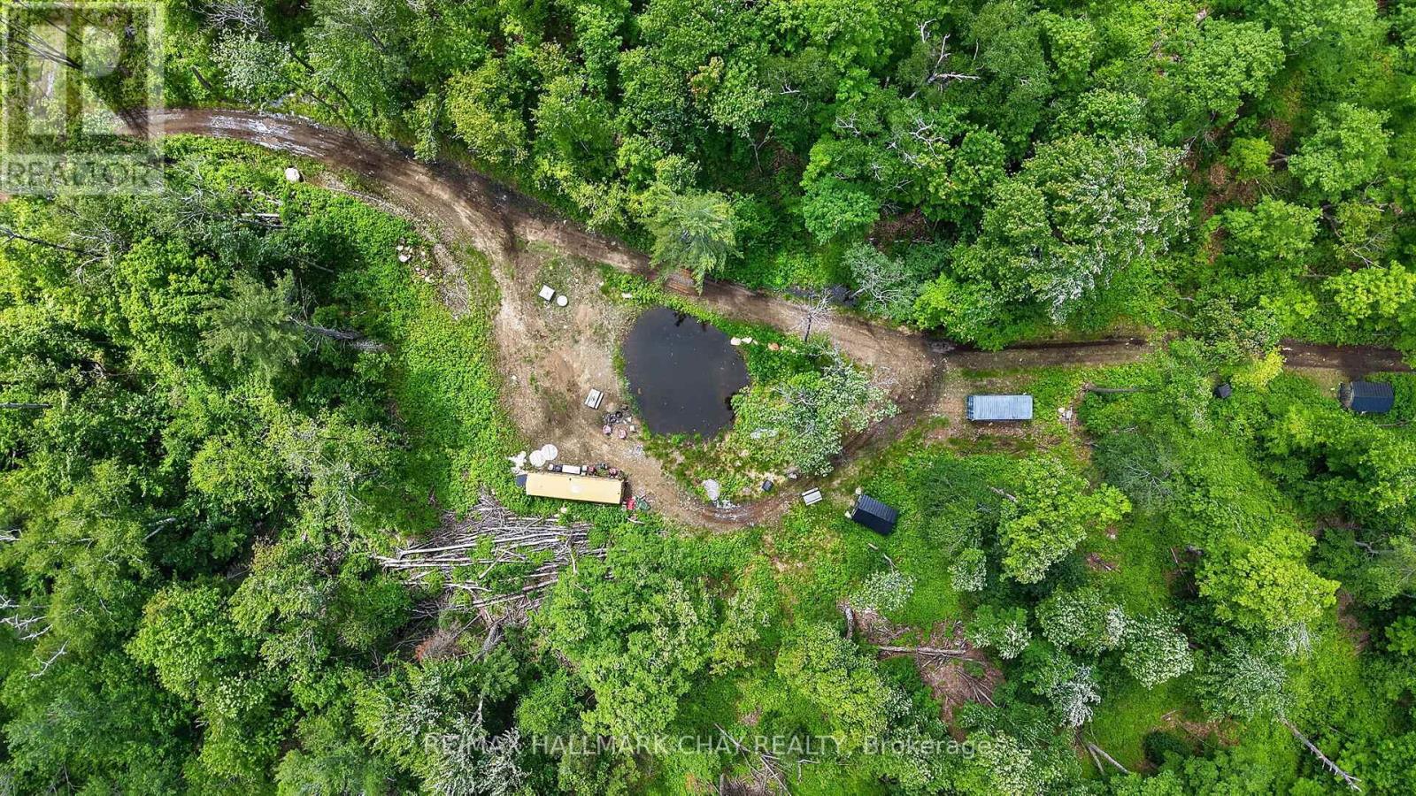 Lot 29 Concession 11 Franklin, Lake Of Bays, Ontario  N0N 0N0 - Photo 16 - X13501586