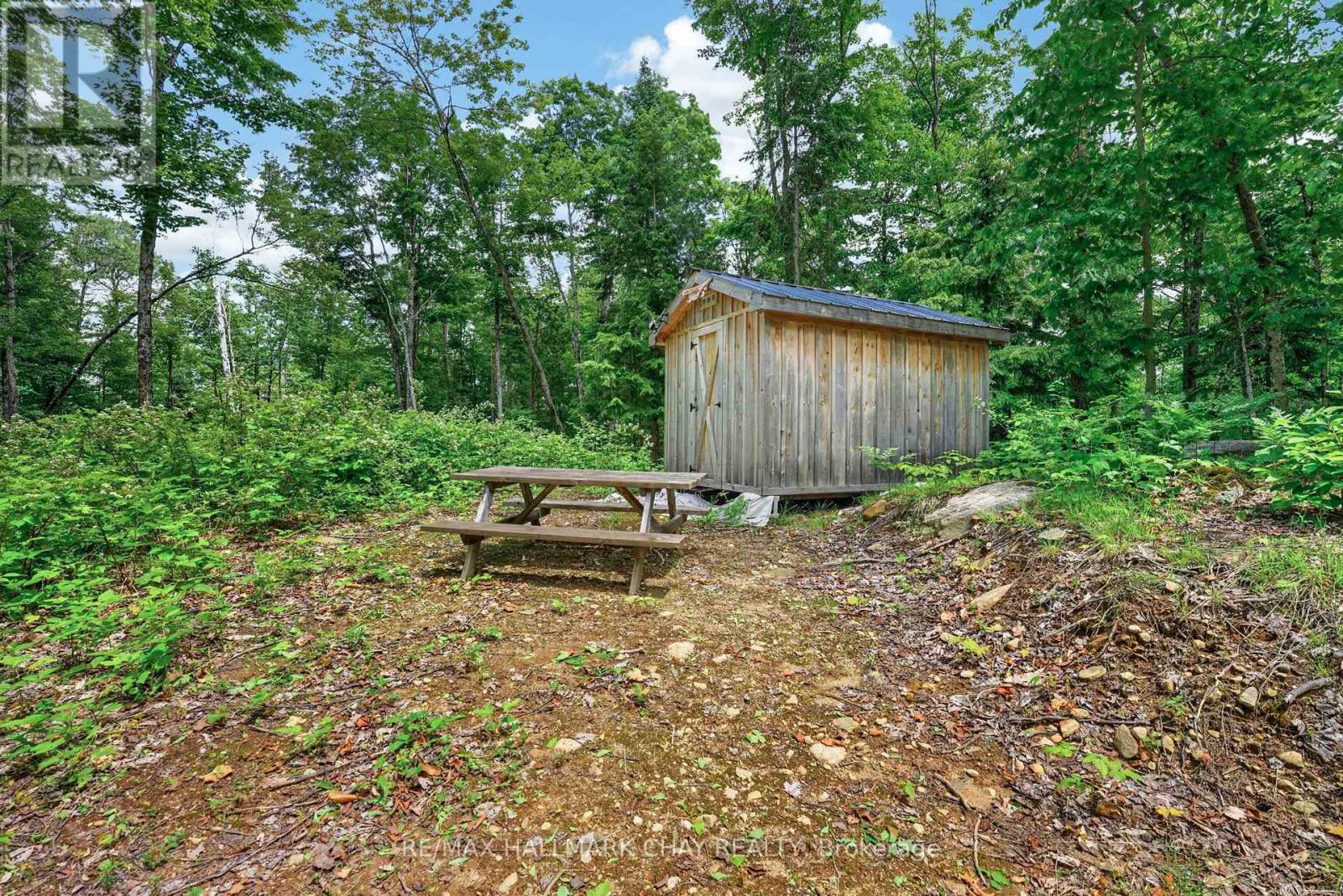 Lot 29 Concession 11 Franklin, Lake Of Bays, Ontario  N0N 0N0 - Photo 17 - X13501586