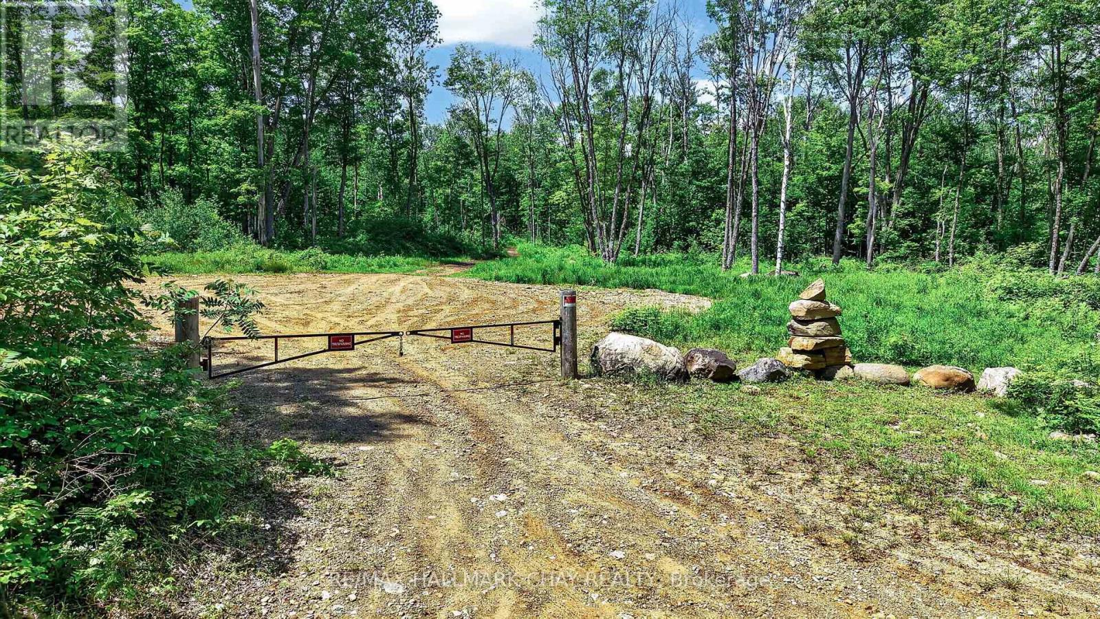 Lot 29 Concession 11 Franklin, Lake Of Bays, Ontario  N0N 0N0 - Photo 23 - X13501586