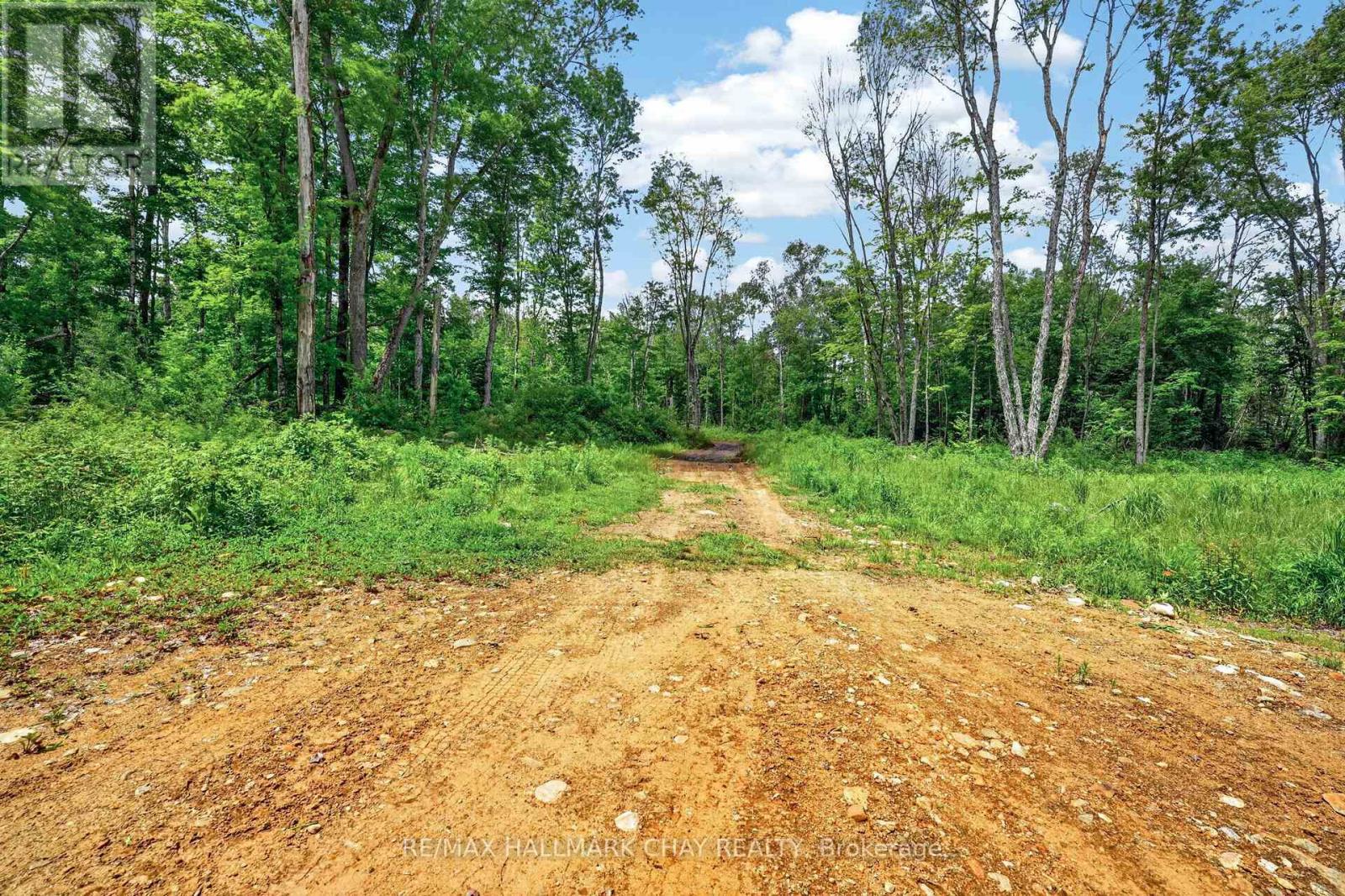 Lot 29 Concession 11 Franklin, Lake Of Bays, Ontario  N0N 0N0 - Photo 25 - X13501586