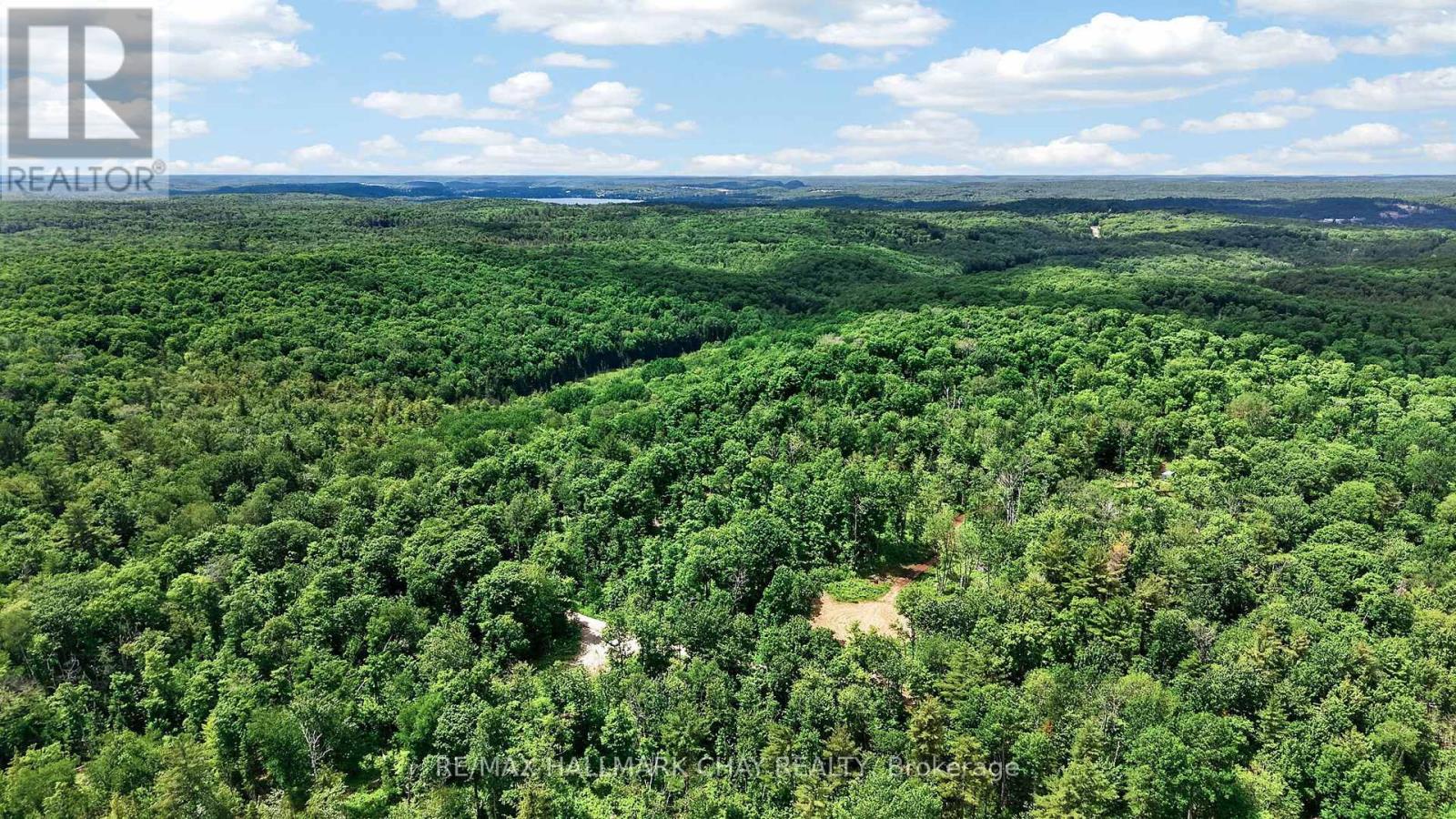 Lot 29 Concession 11 Franklin, Lake Of Bays, Ontario  N0N 0N0 - Photo 27 - X13501586