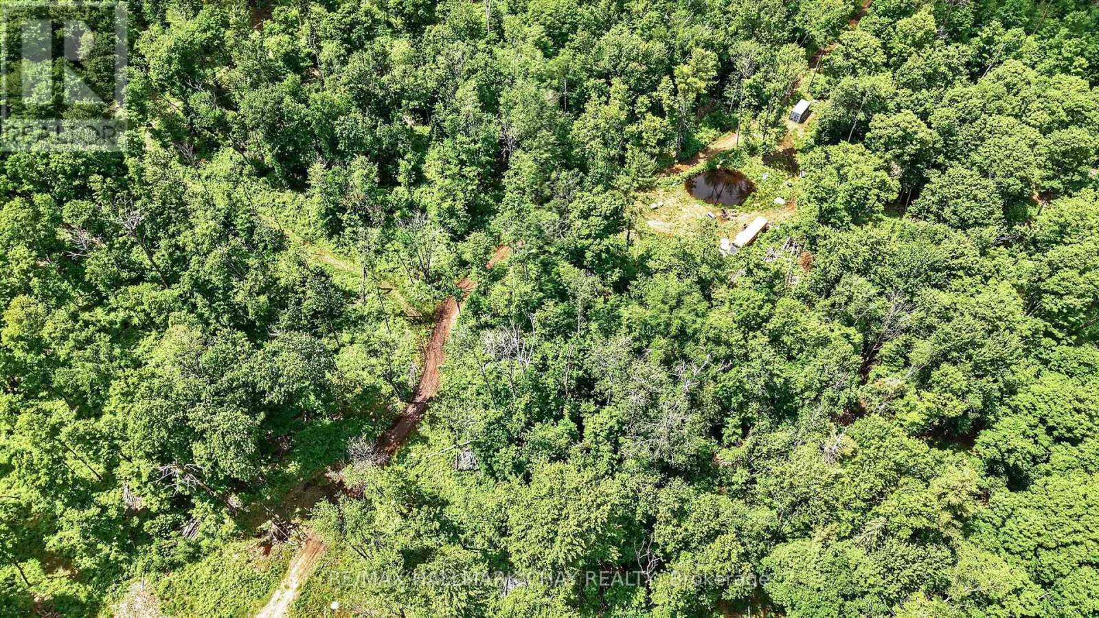 Lot 29 Concession 11 Franklin, Lake Of Bays, Ontario  N0N 0N0 - Photo 28 - X13501586