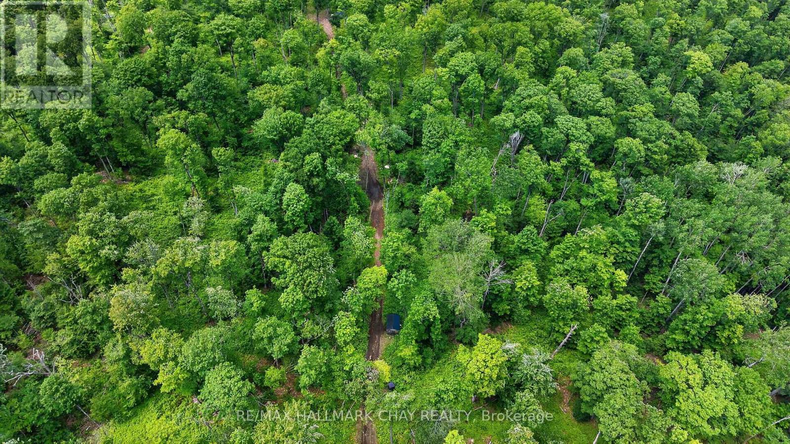 Lot 29 Concession 11 Franklin, Lake Of Bays, Ontario  N0N 0N0 - Photo 29 - X13501586