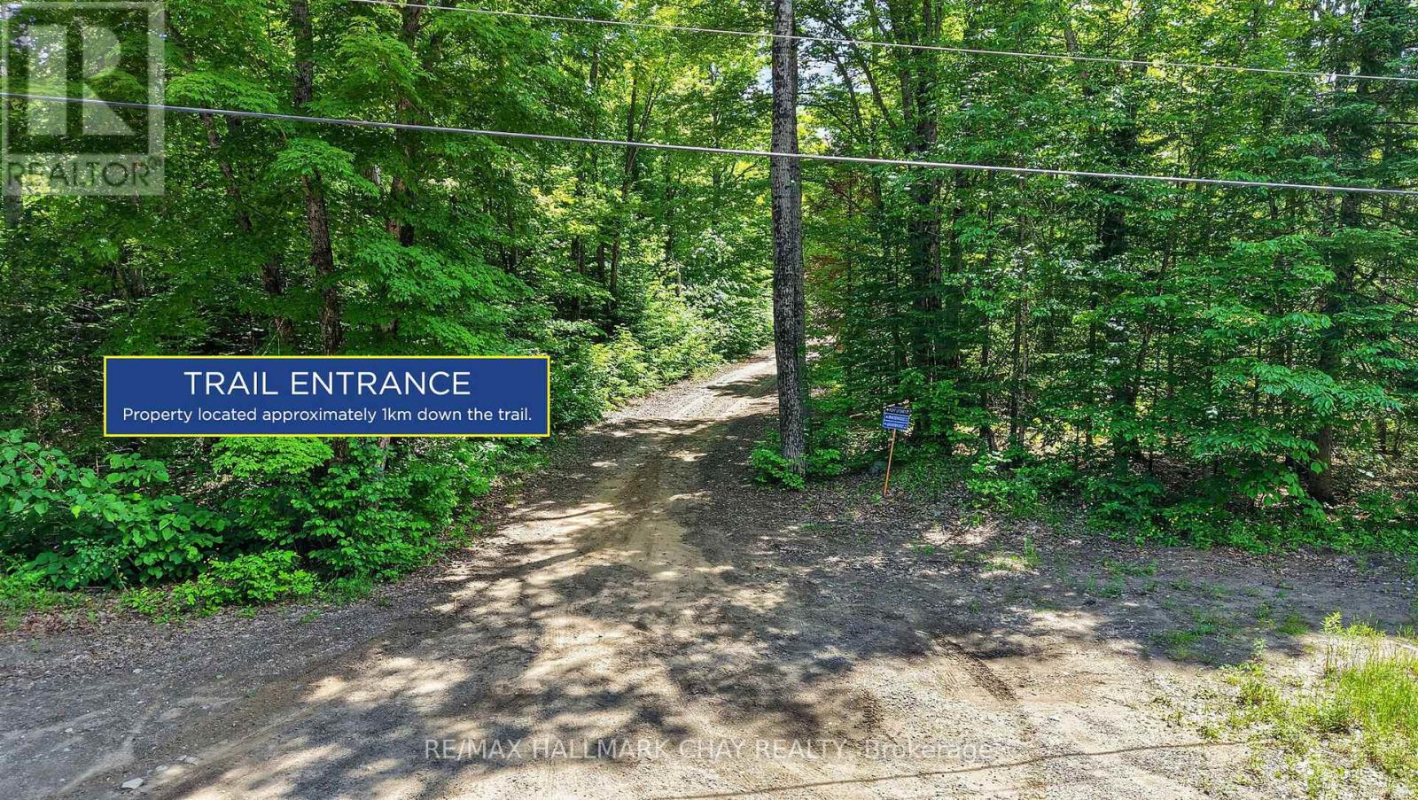 Lot 29 Concession 11 Franklin, Lake Of Bays, Ontario  N0N 0N0 - Photo 3 - X13501586